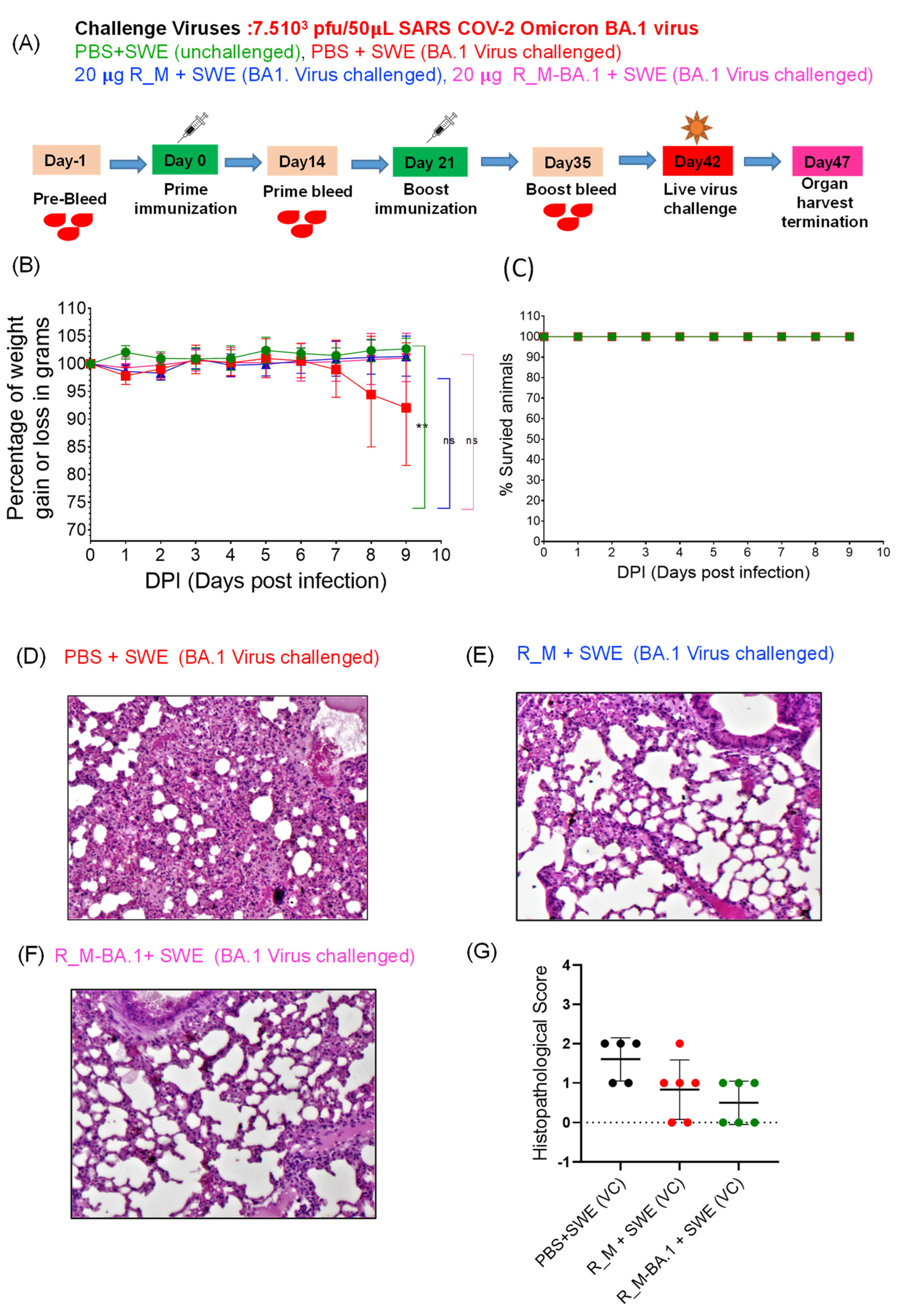 Pharmaceutics 15 02759 g006