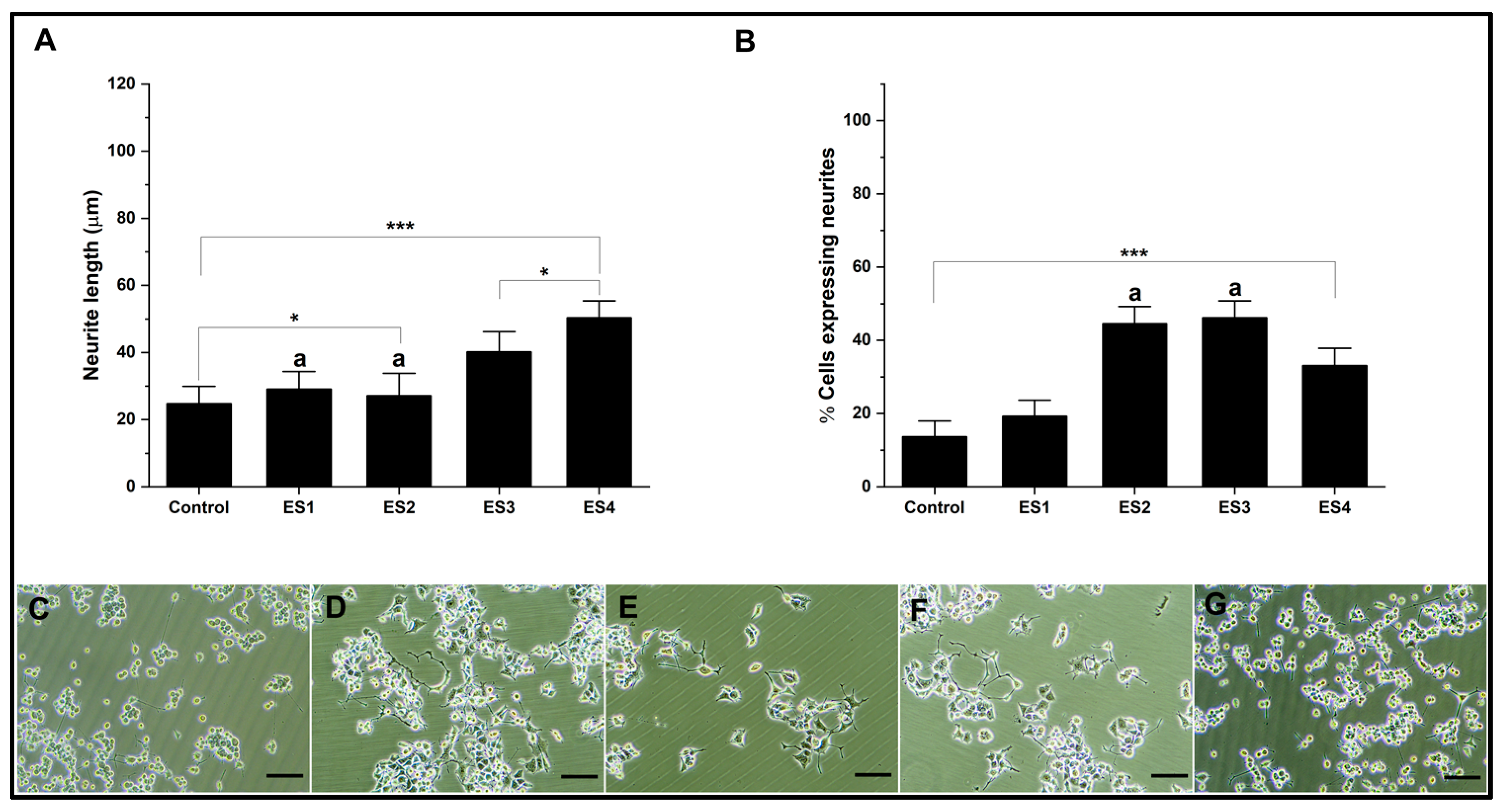 Pharmaceutics 15 02760 g006