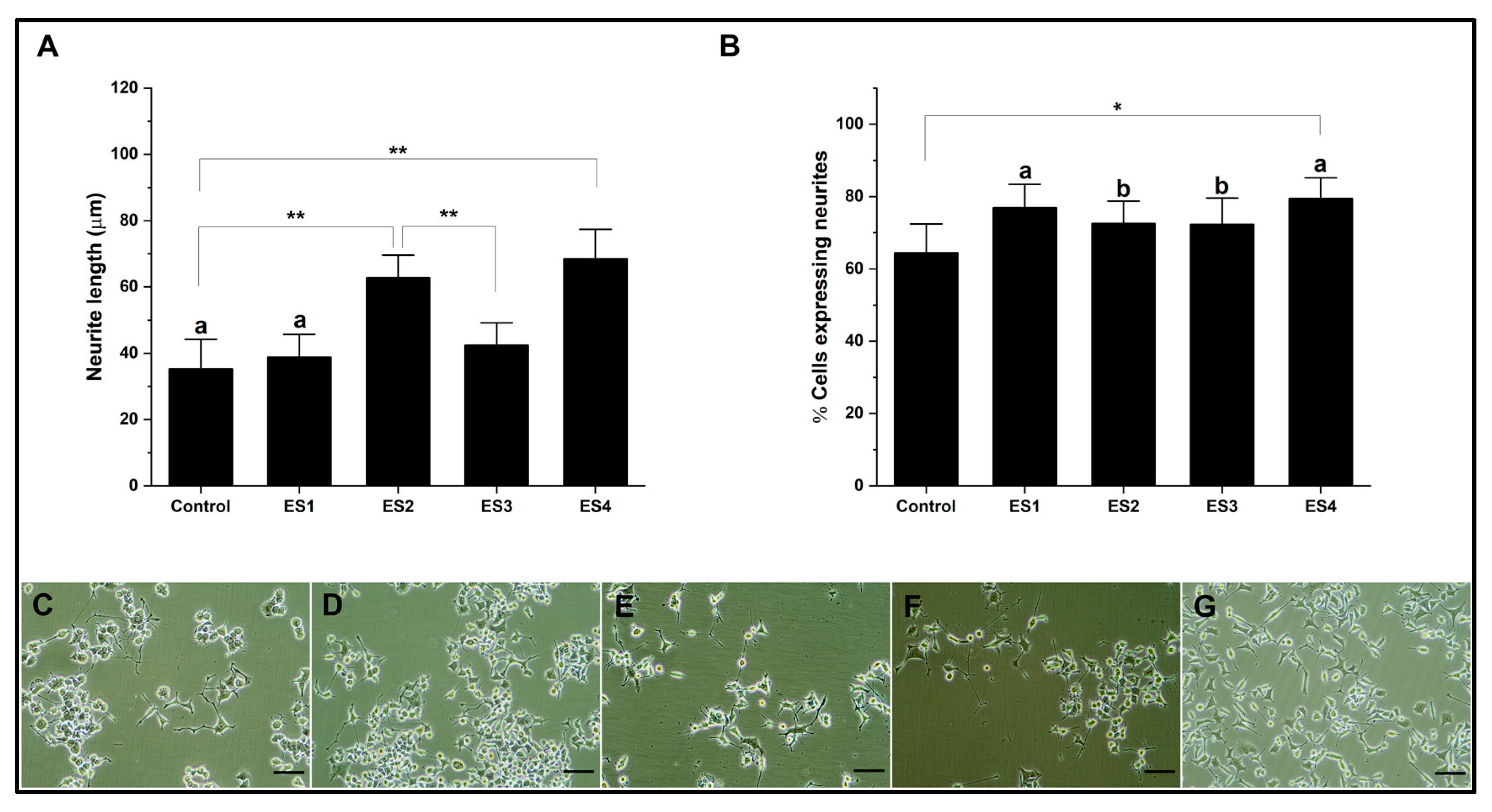Pharmaceutics 15 02760 g008