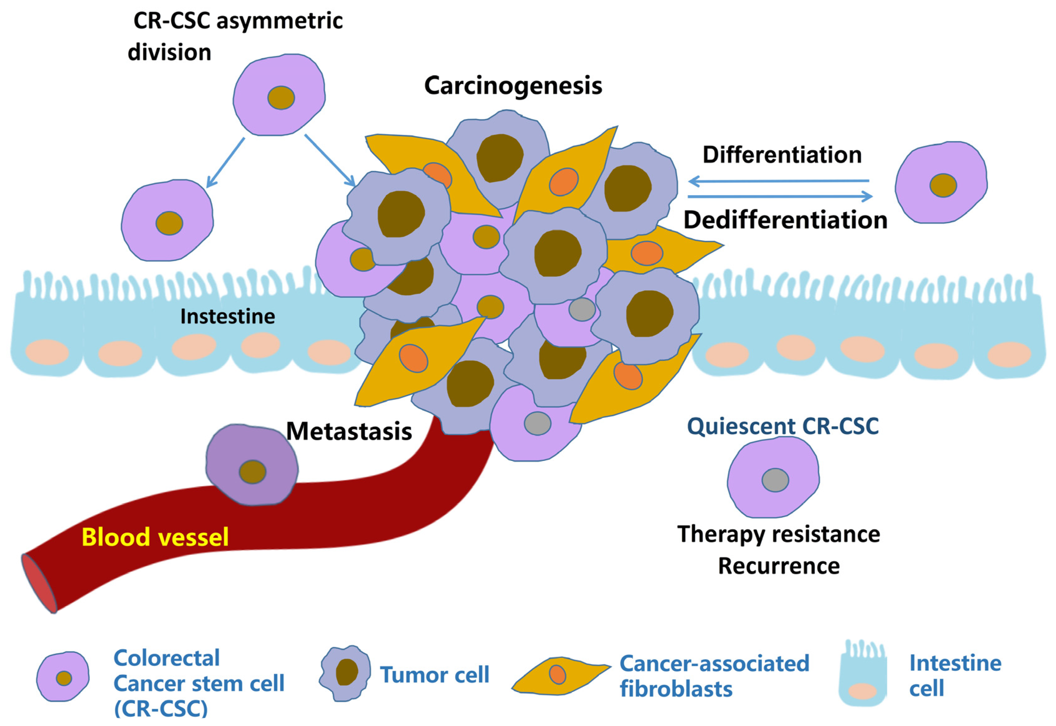 Pharmaceutics 15 02763 g001