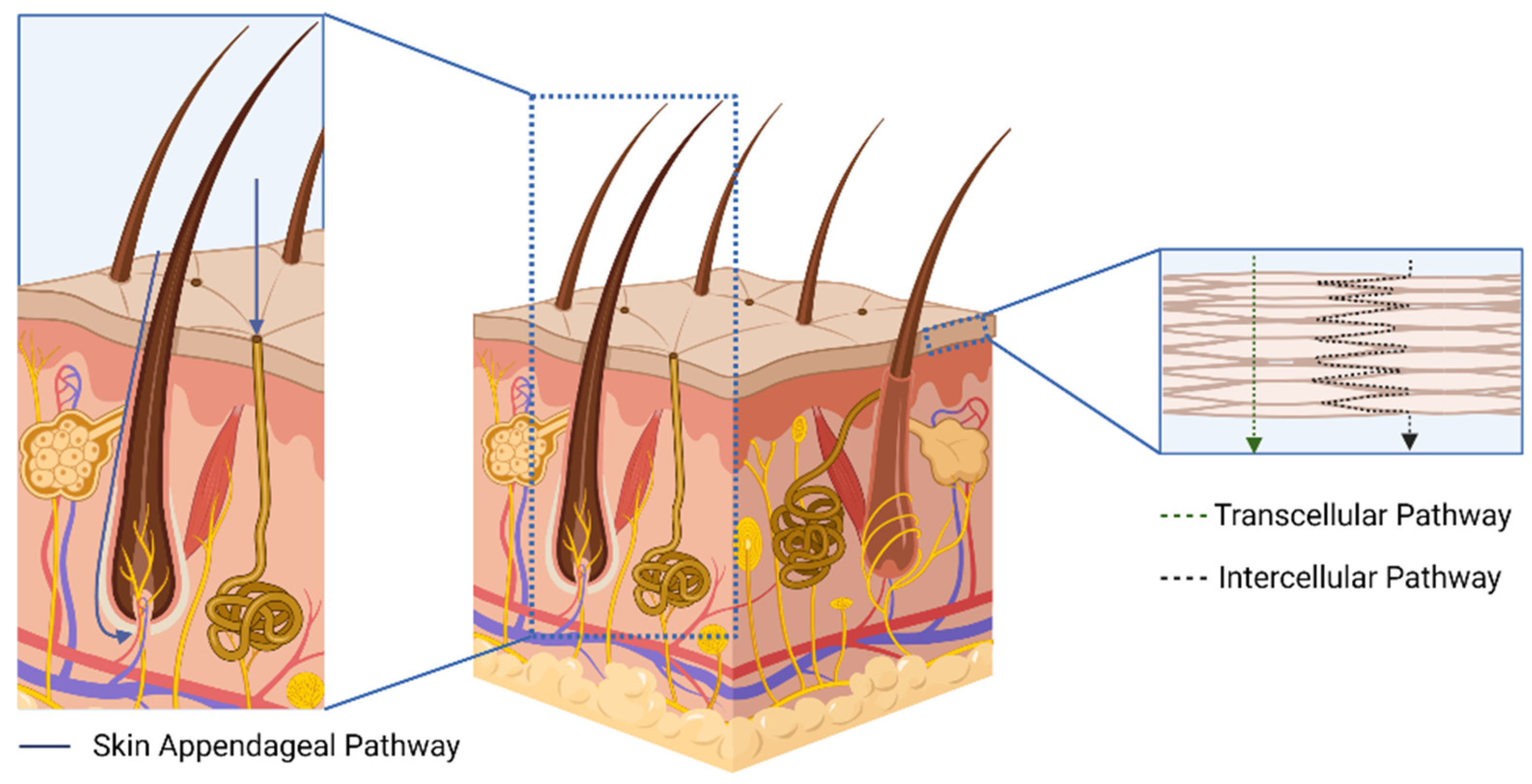 Pharmaceutics 15 02767 g001