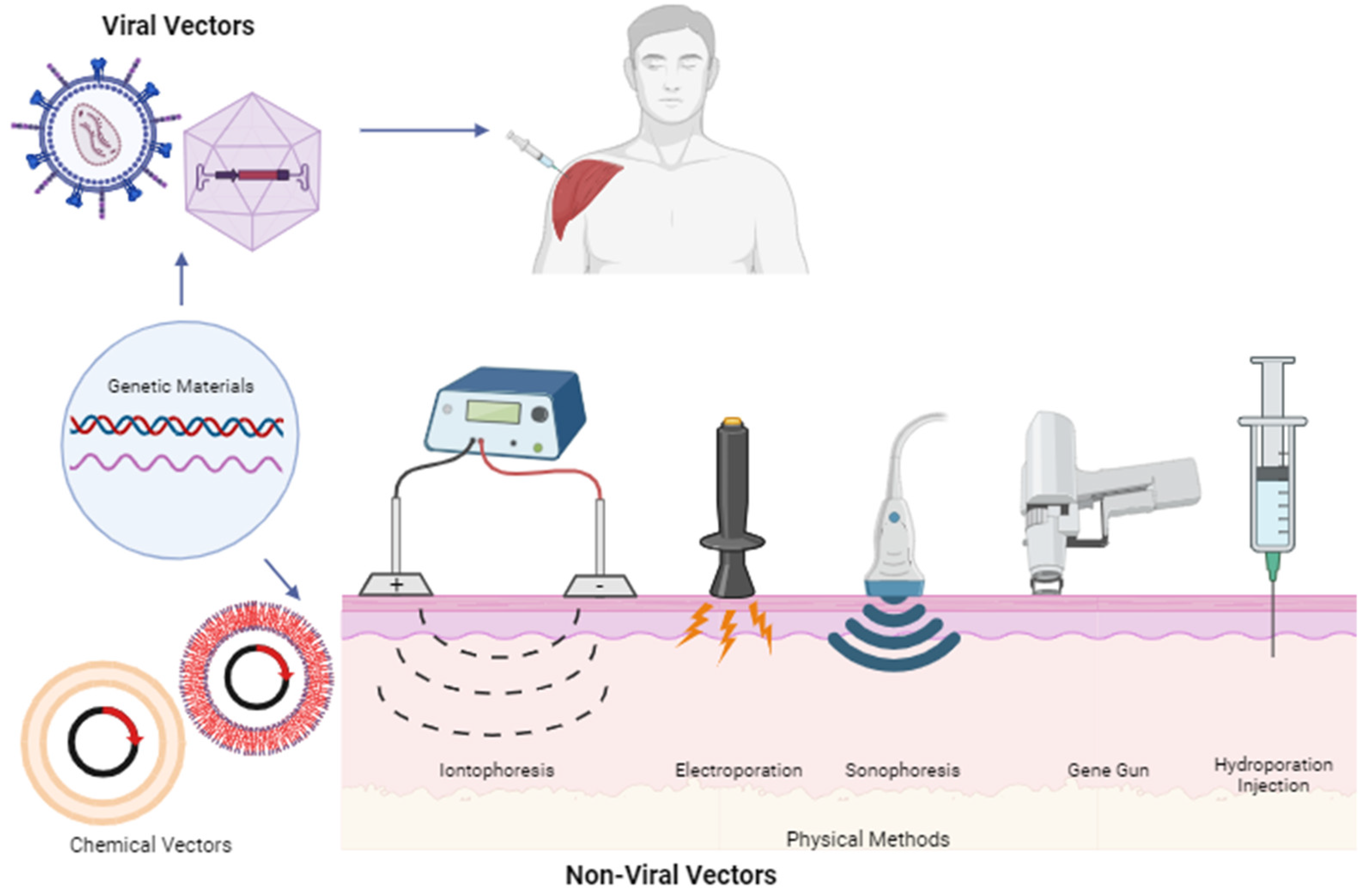 Pharmaceutics 15 02767 g003