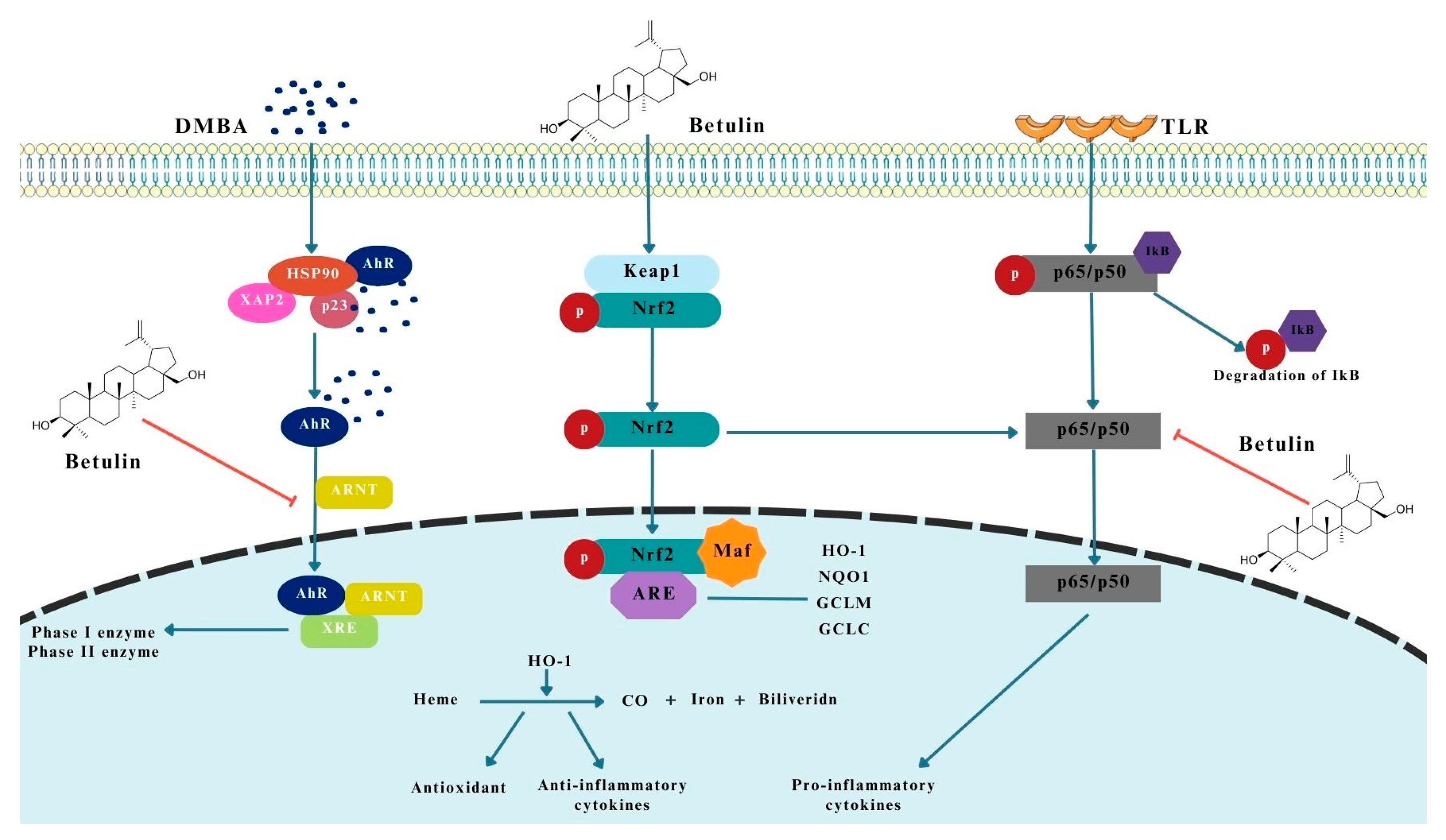 Pharmaceutics 15 02768 g003