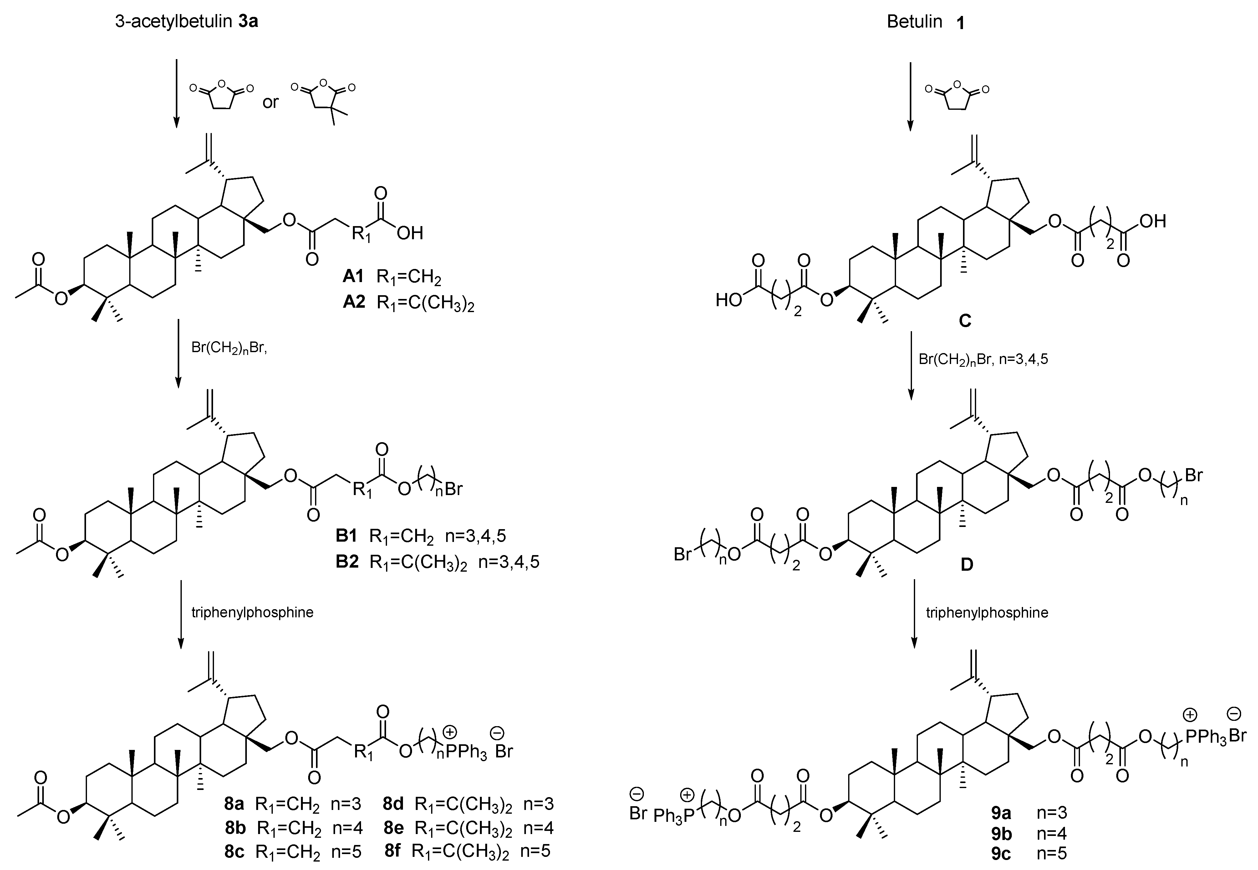 Pharmaceutics 15 02768 g010