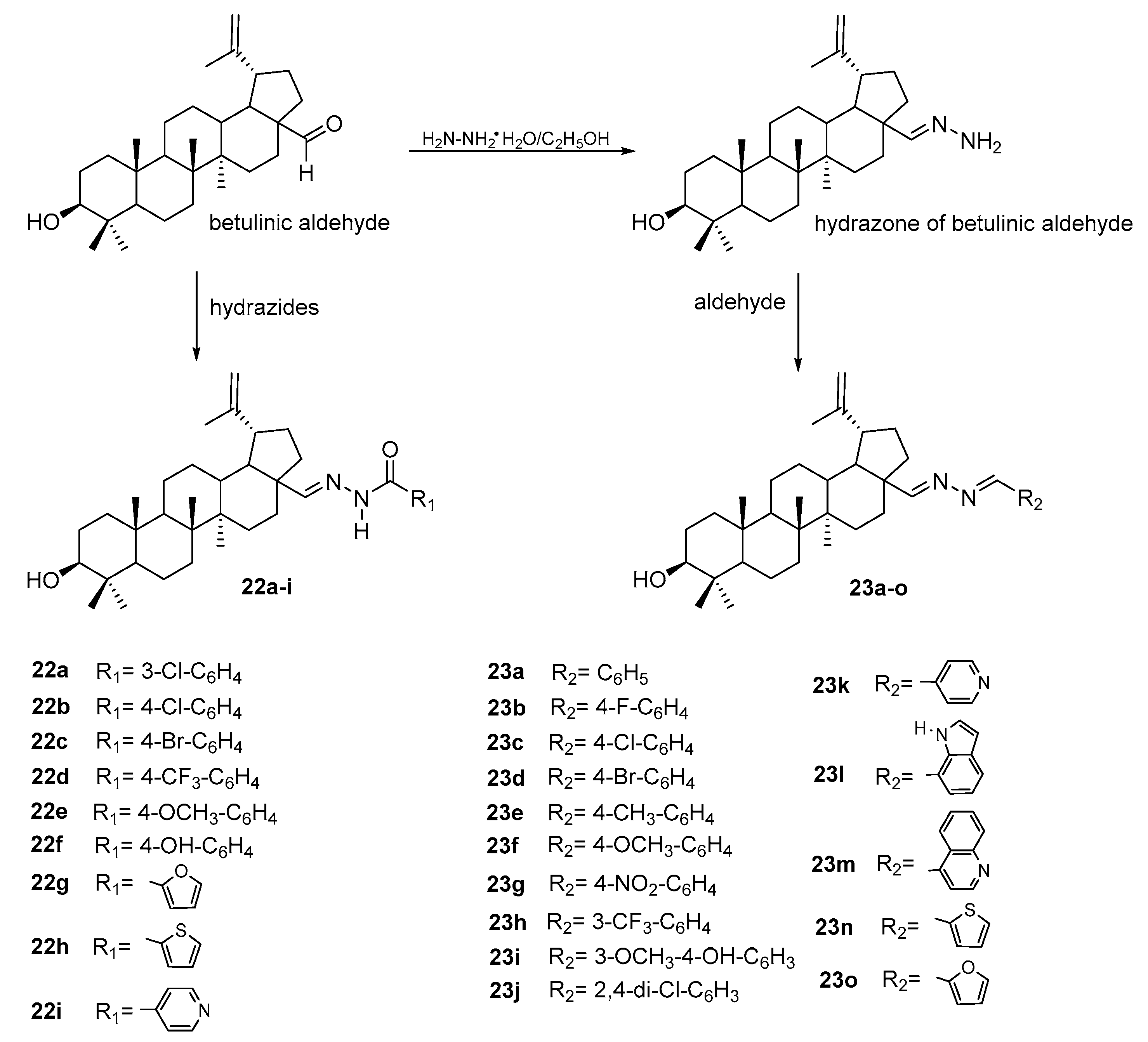 Pharmaceutics 15 02768 g016