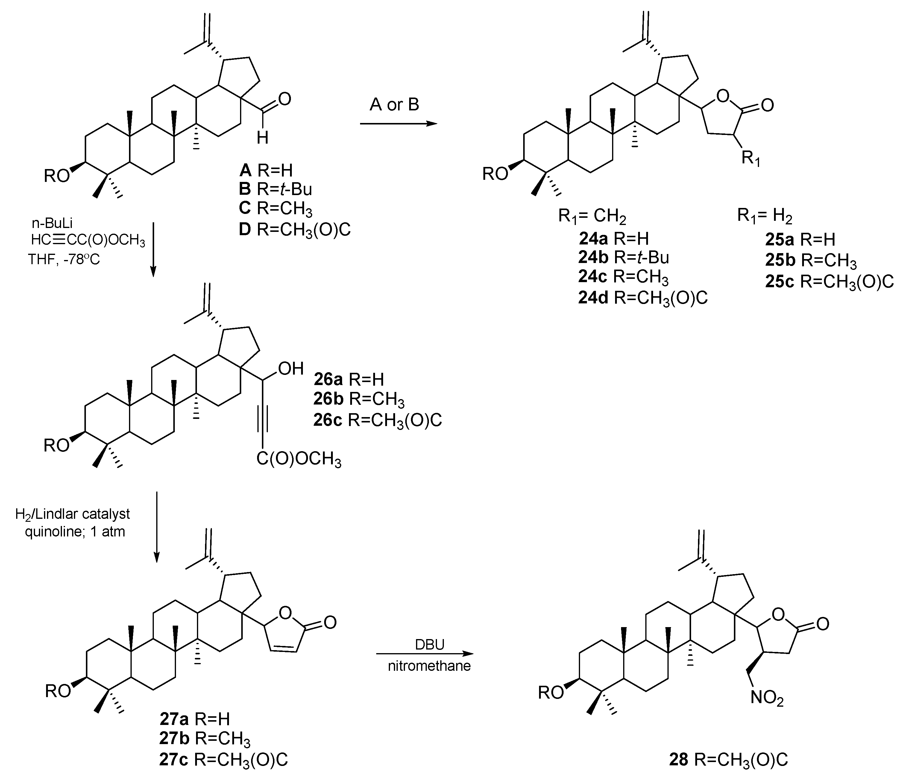 Pharmaceutics 15 02768 g017