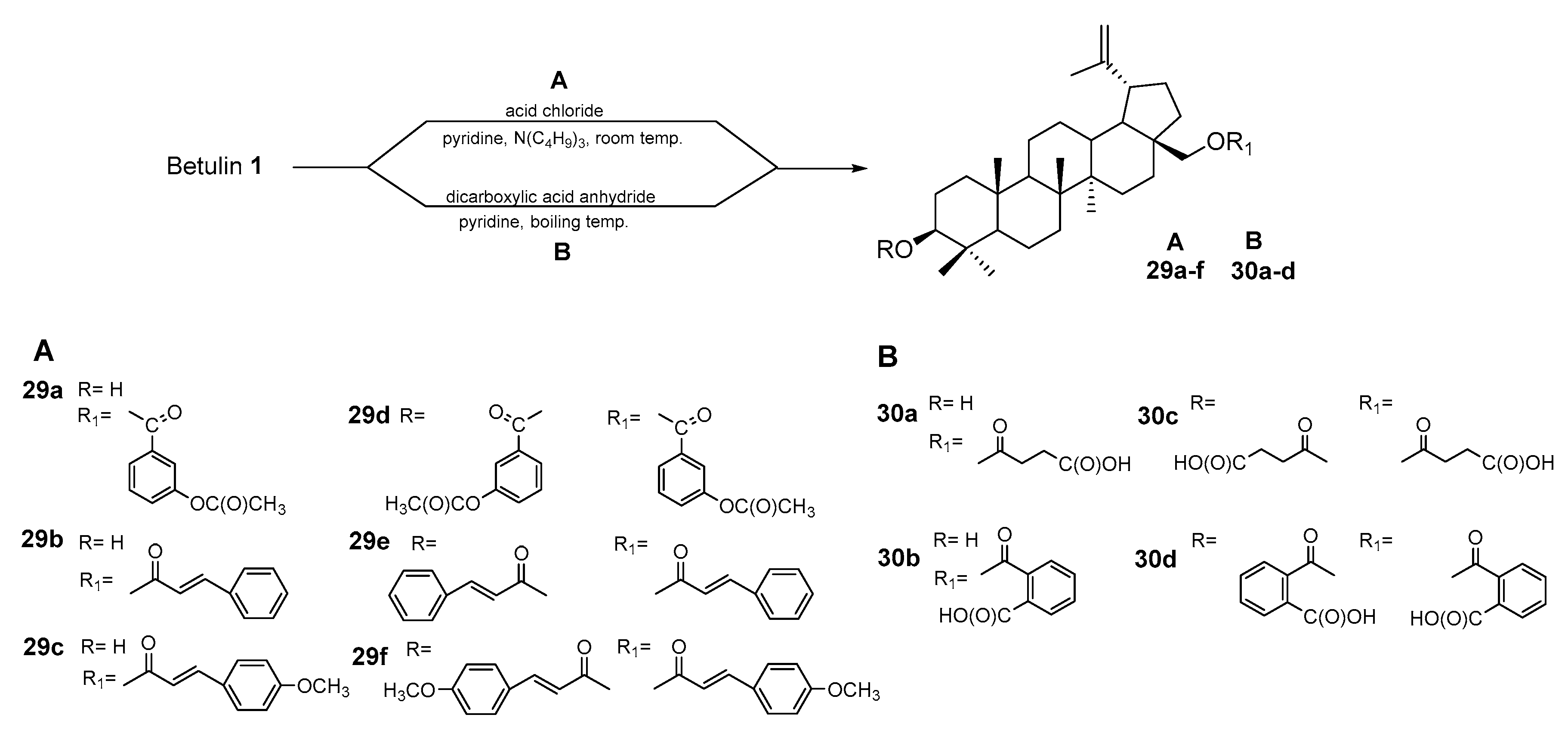 Pharmaceutics 15 02768 g018