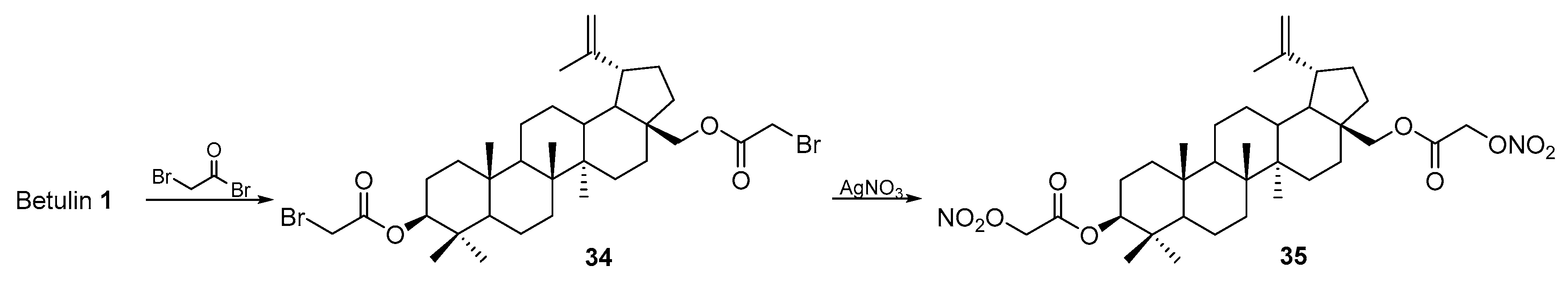 Pharmaceutics 15 02768 g020