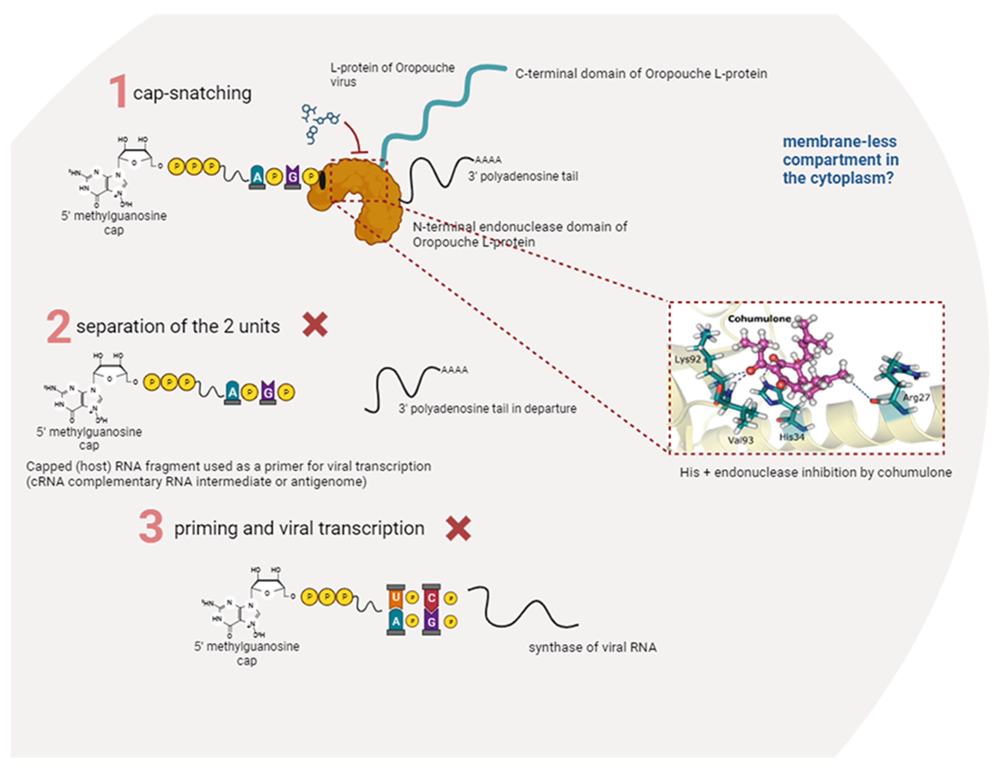 Pharmaceutics 15 02769 g009