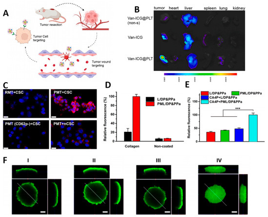その他 D 12ポケット多機能収納ベスト アウトドアベスト 多機能ベスト