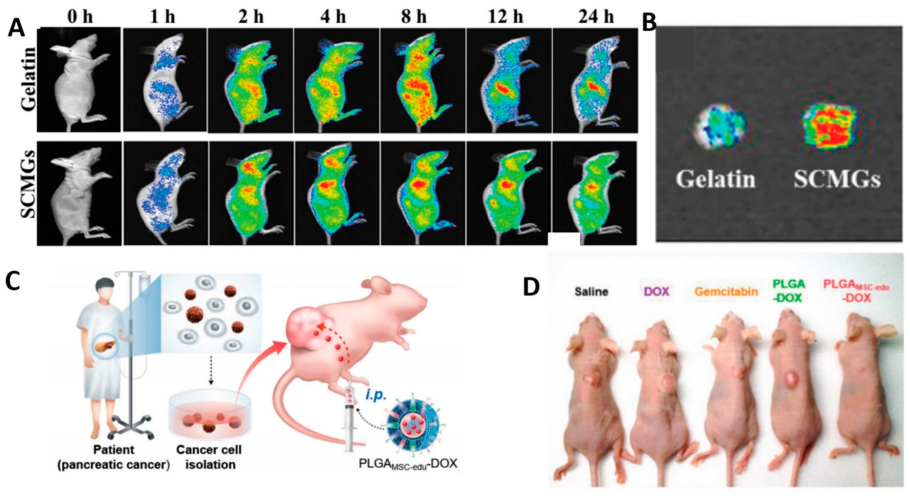 Pharmaceutics 15 02770 g007