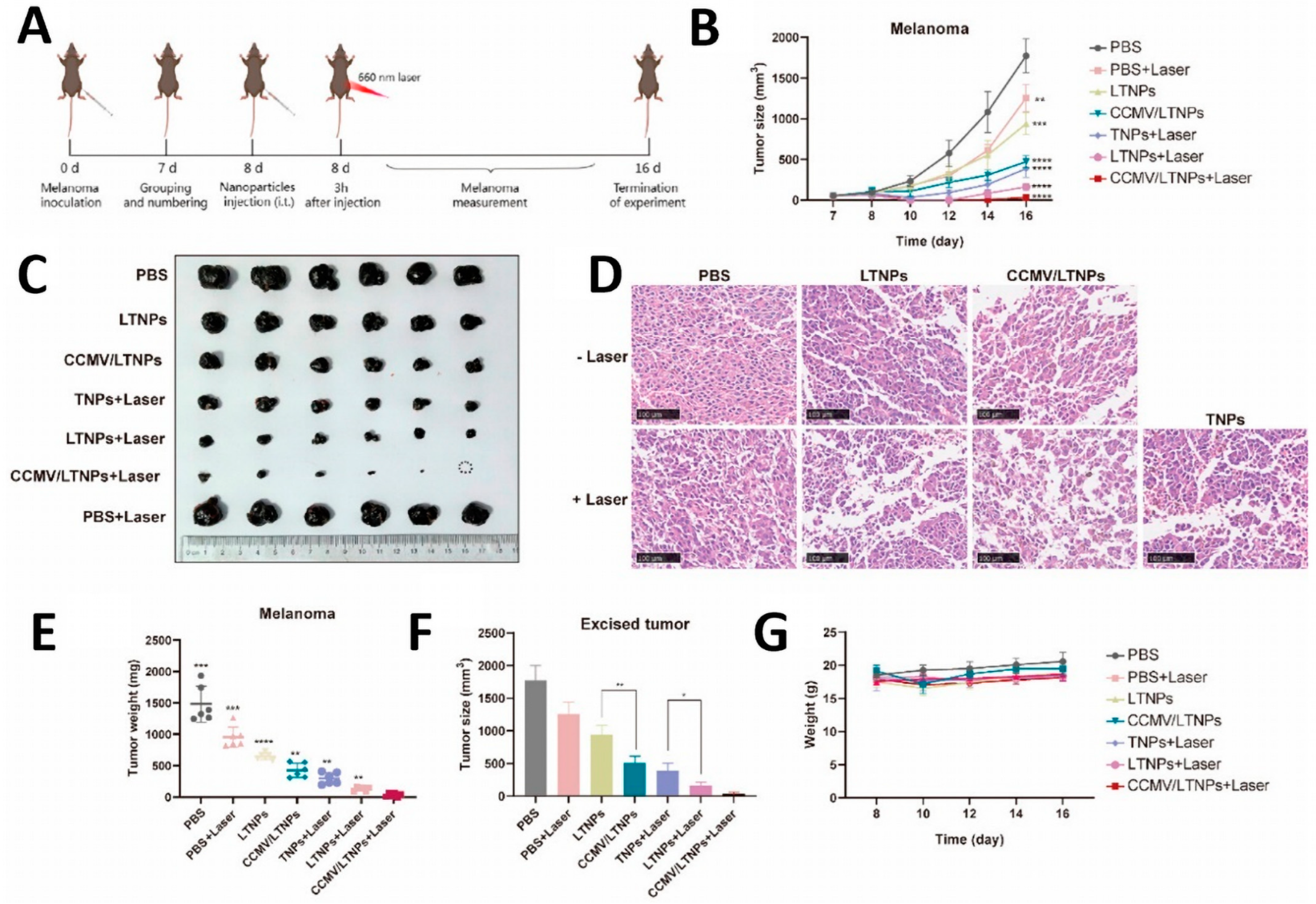 Pharmaceutics 15 02770 g008