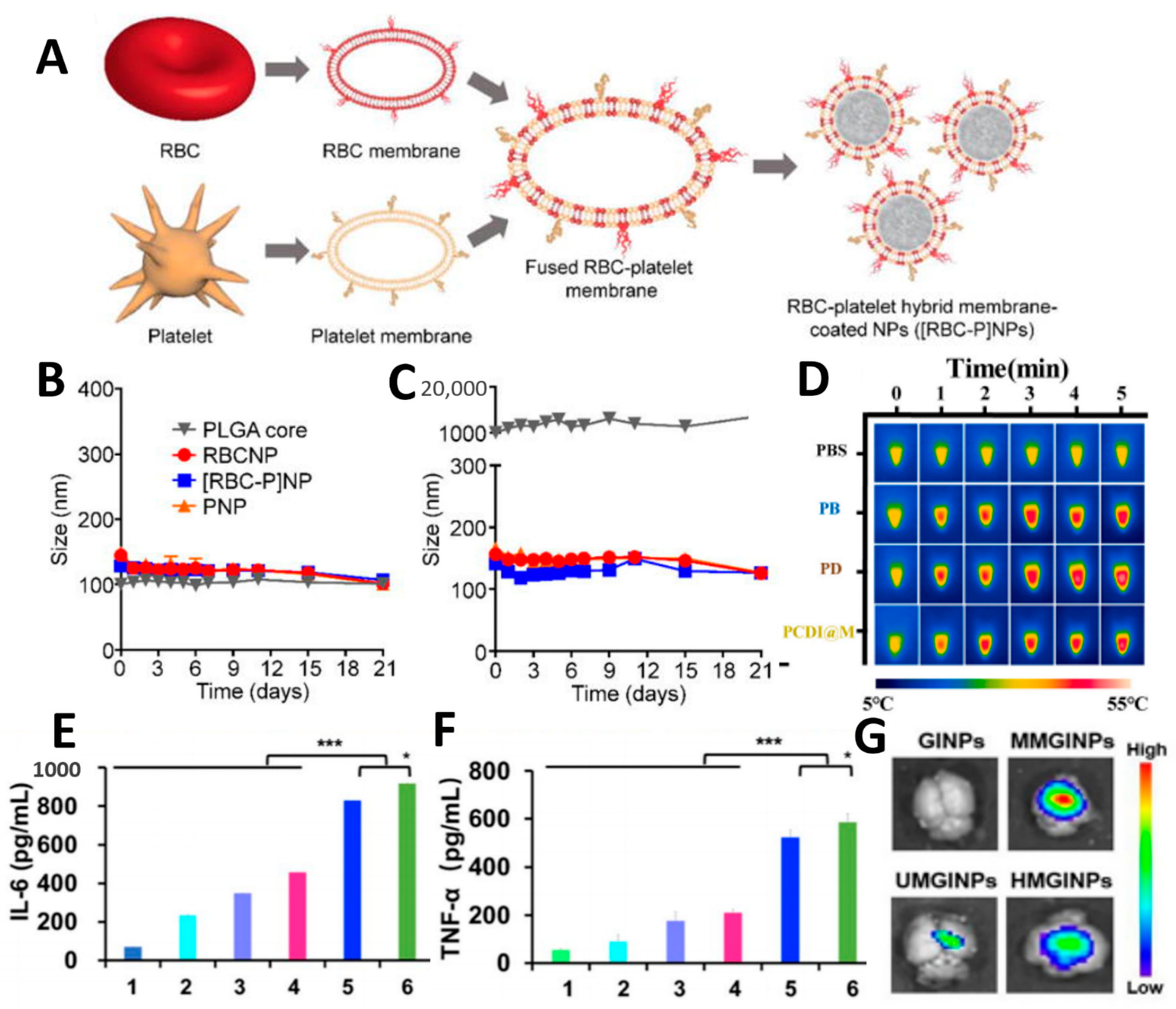 Pharmaceutics 15 02770 g009