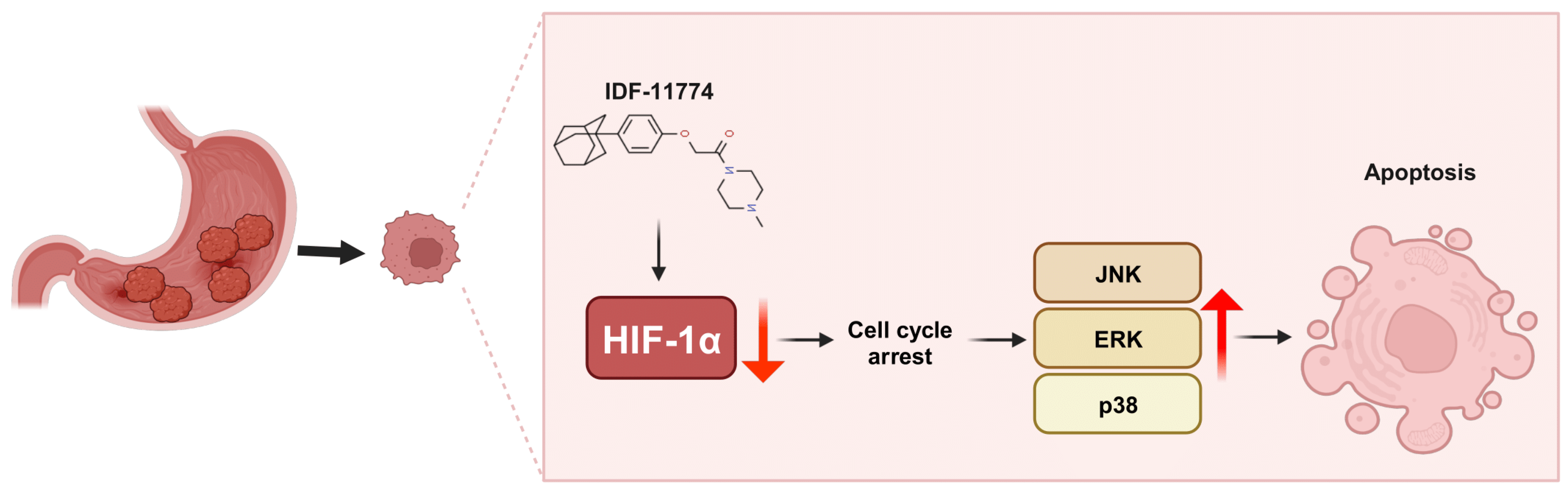 Pharmaceutics 15 02772 g006