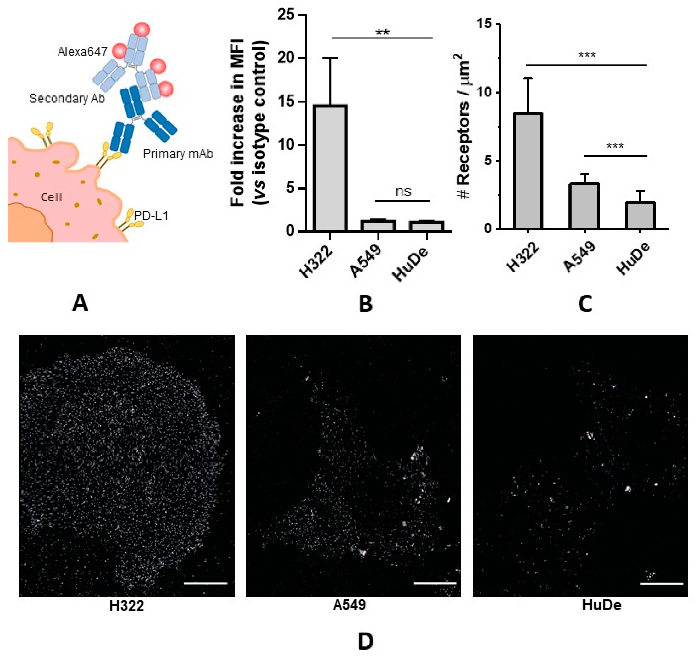 Pharmaceutics 15 02776 g001