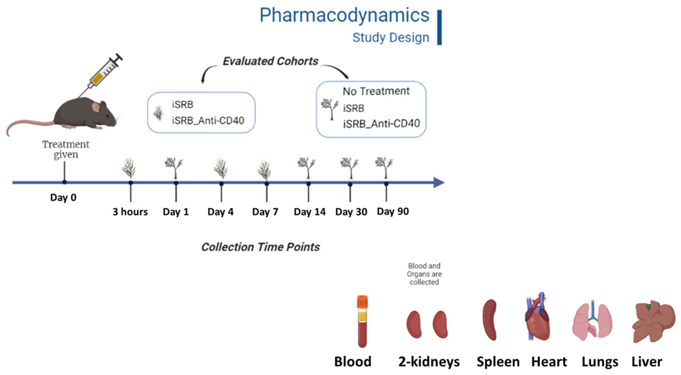Pharmaceutics 15 02778 g001