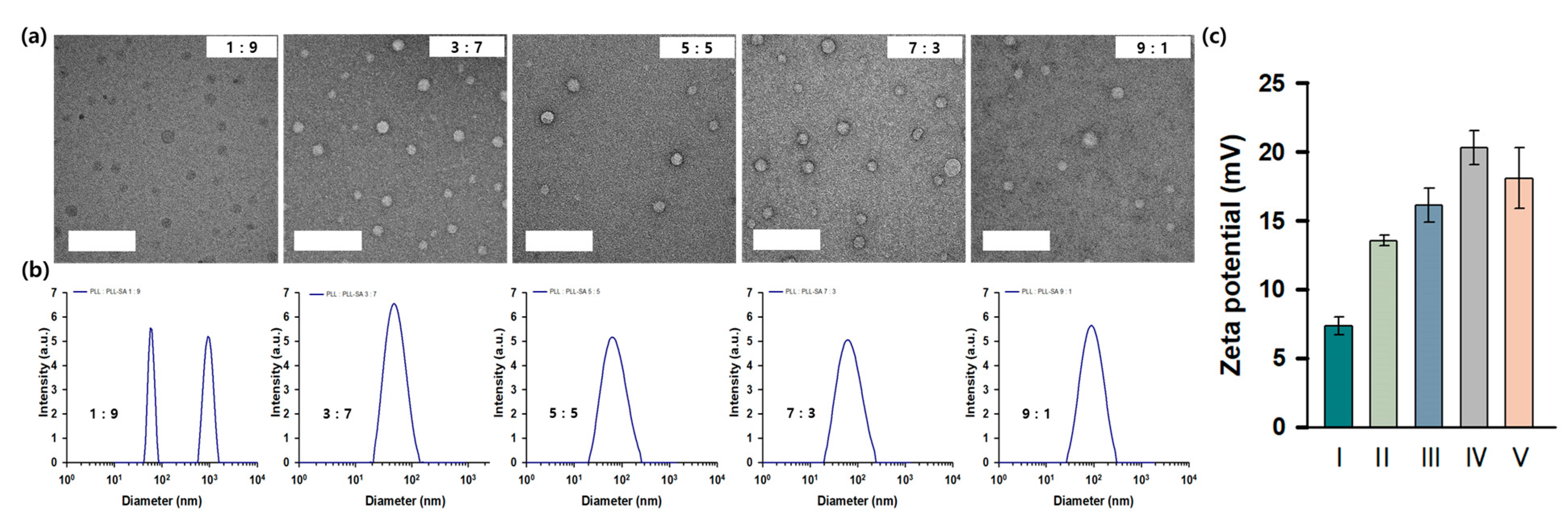 Pharmaceutics 15 02781 g001