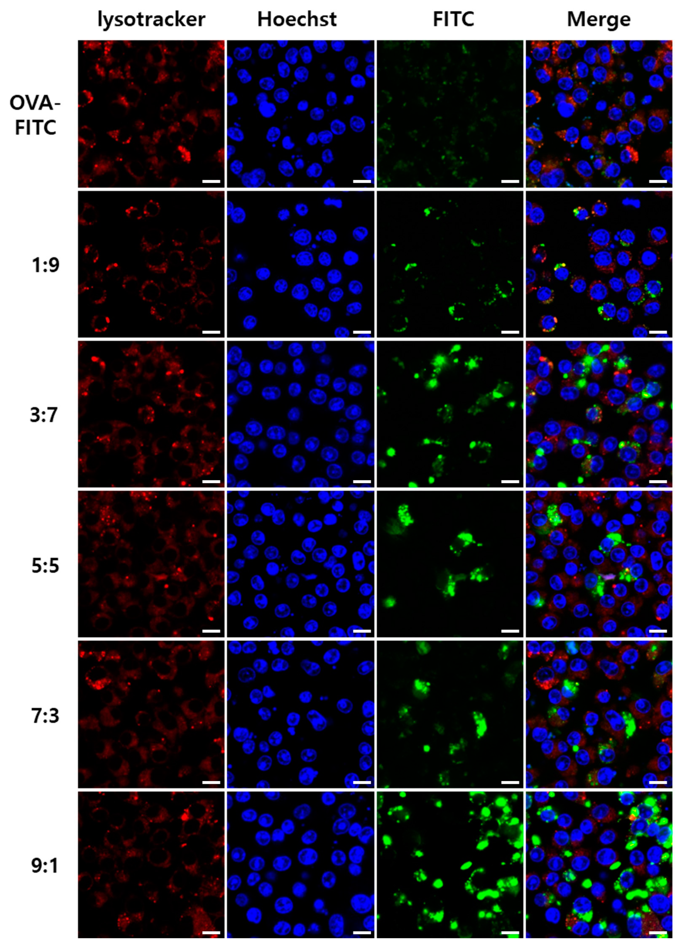 Pharmaceutics 15 02781 g003