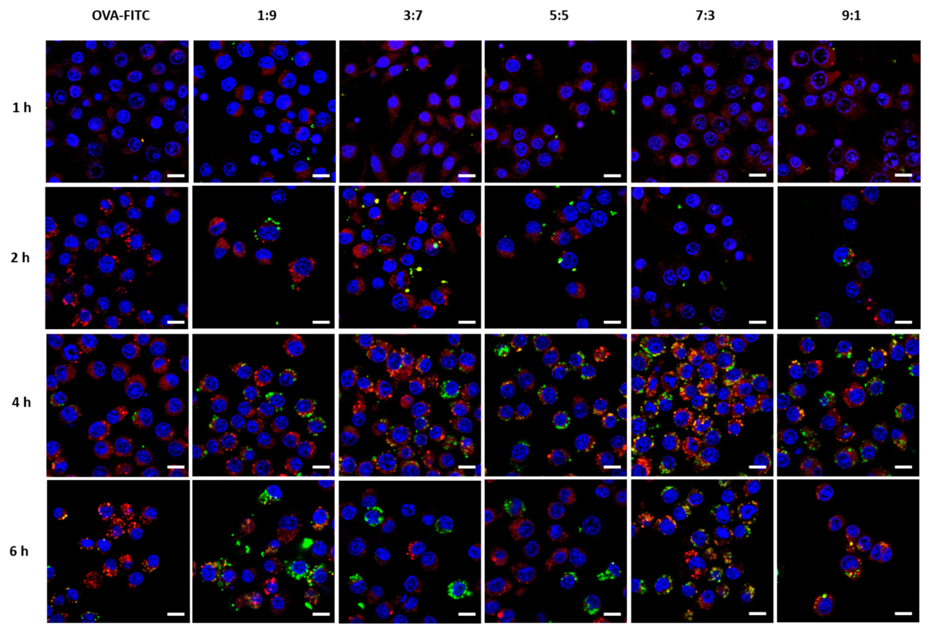Pharmaceutics 15 02781 g005