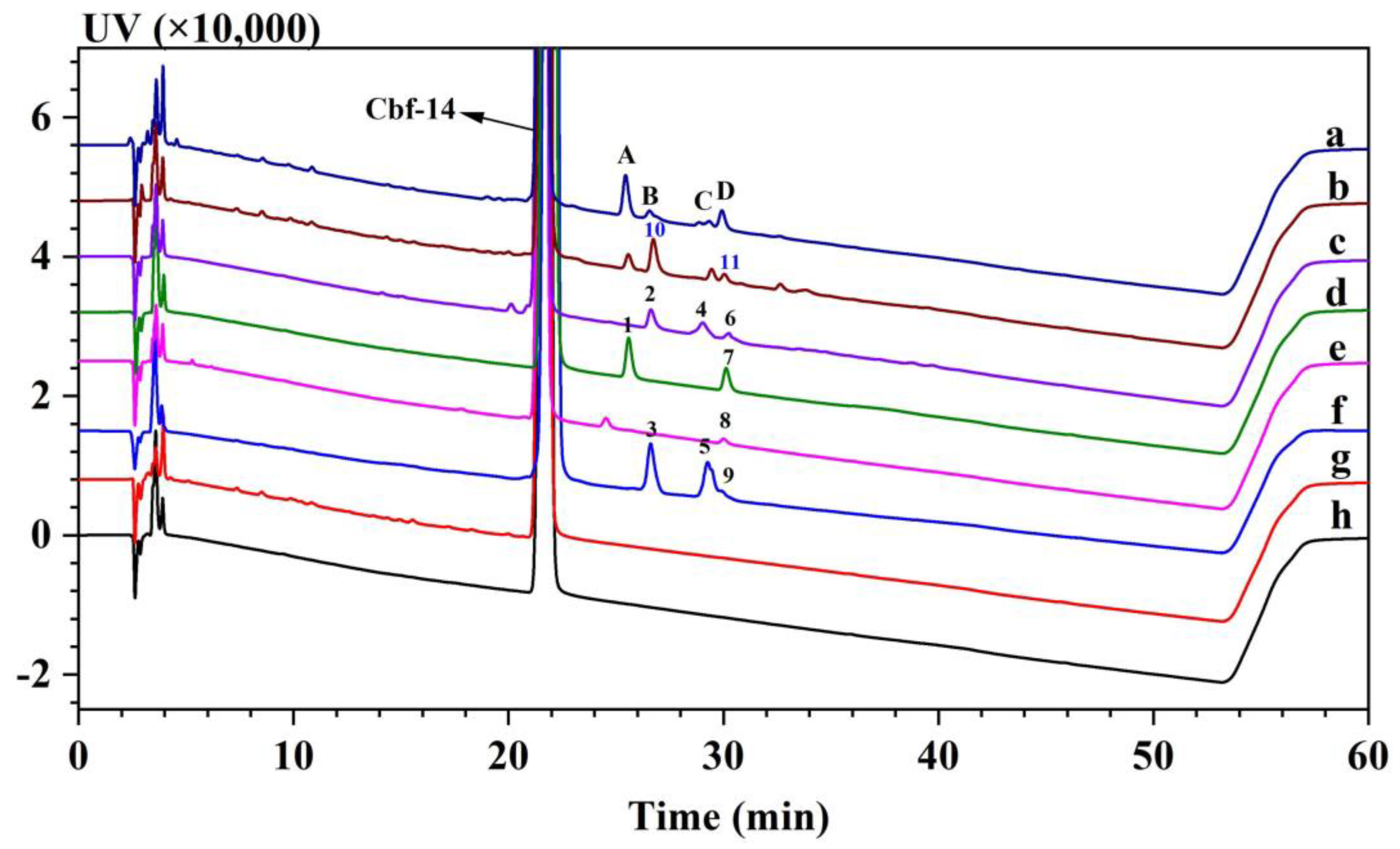 Pharmaceutics 15 02784 g003