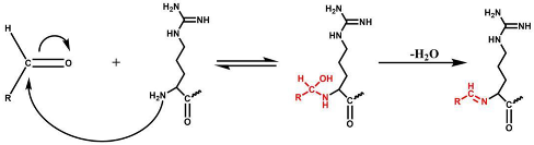 Pharmaceutics 15 02784 i001