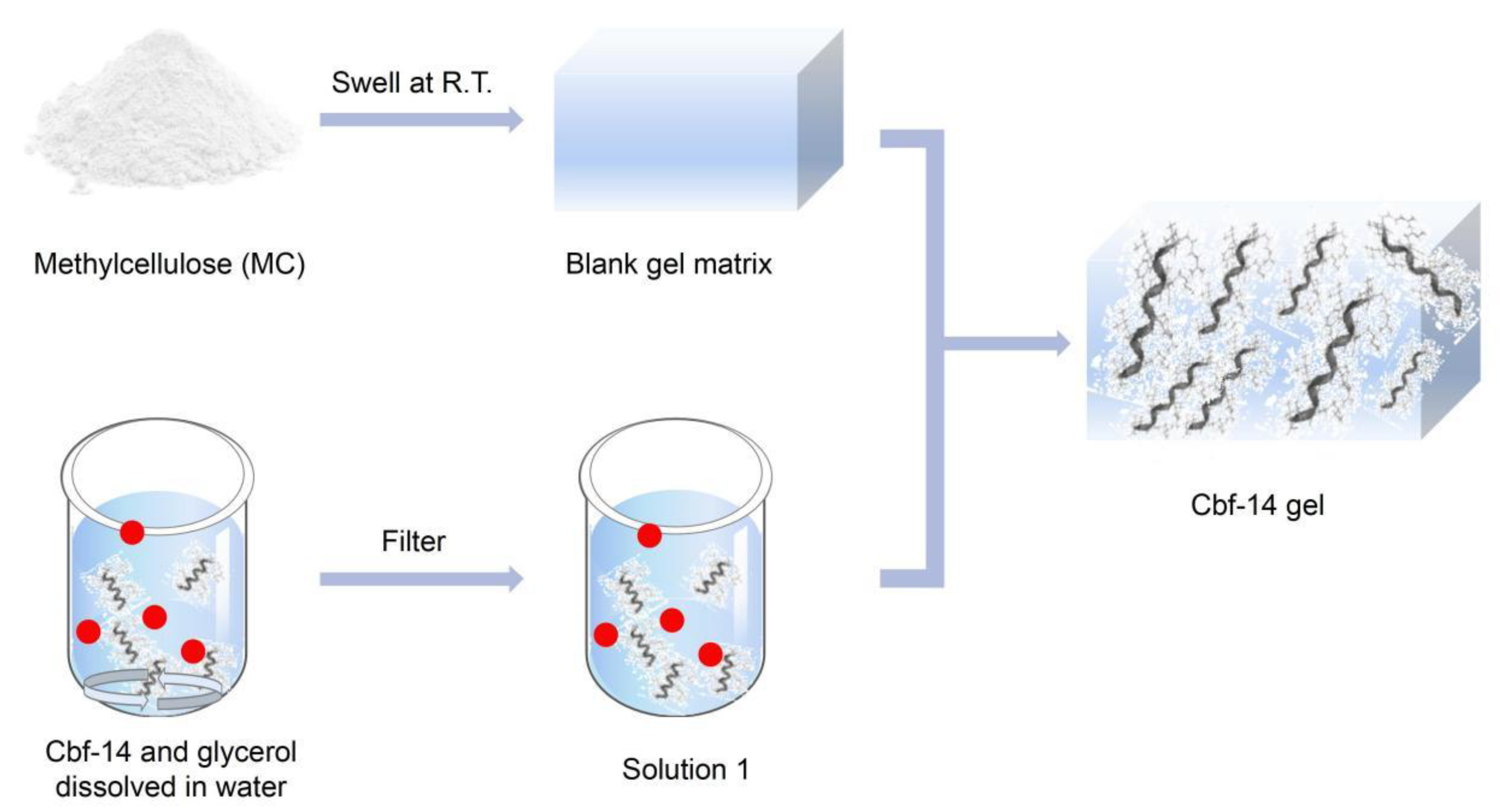 Pharmaceutics 15 02784 sch001