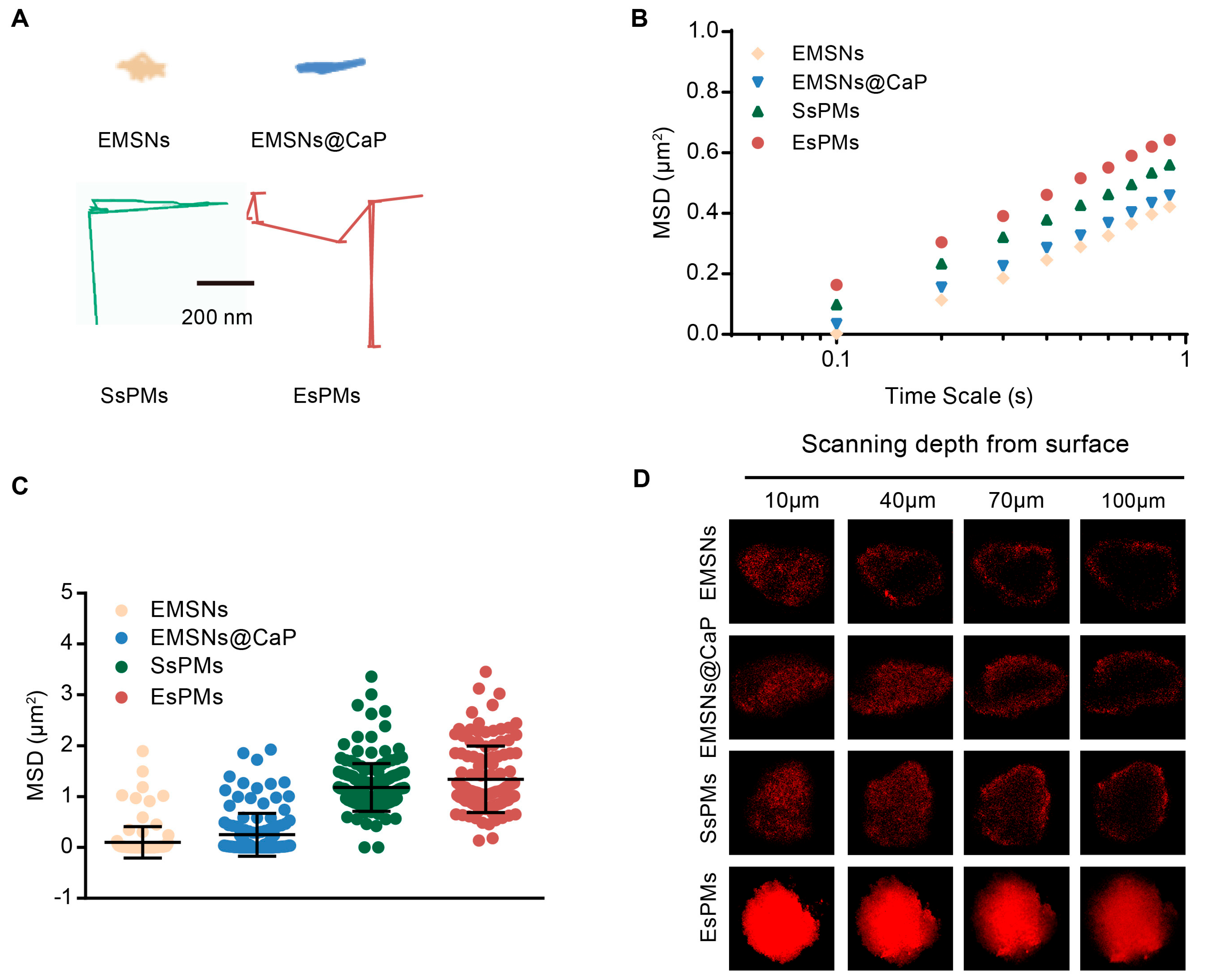 Pharmaceutics 15 02785 g004