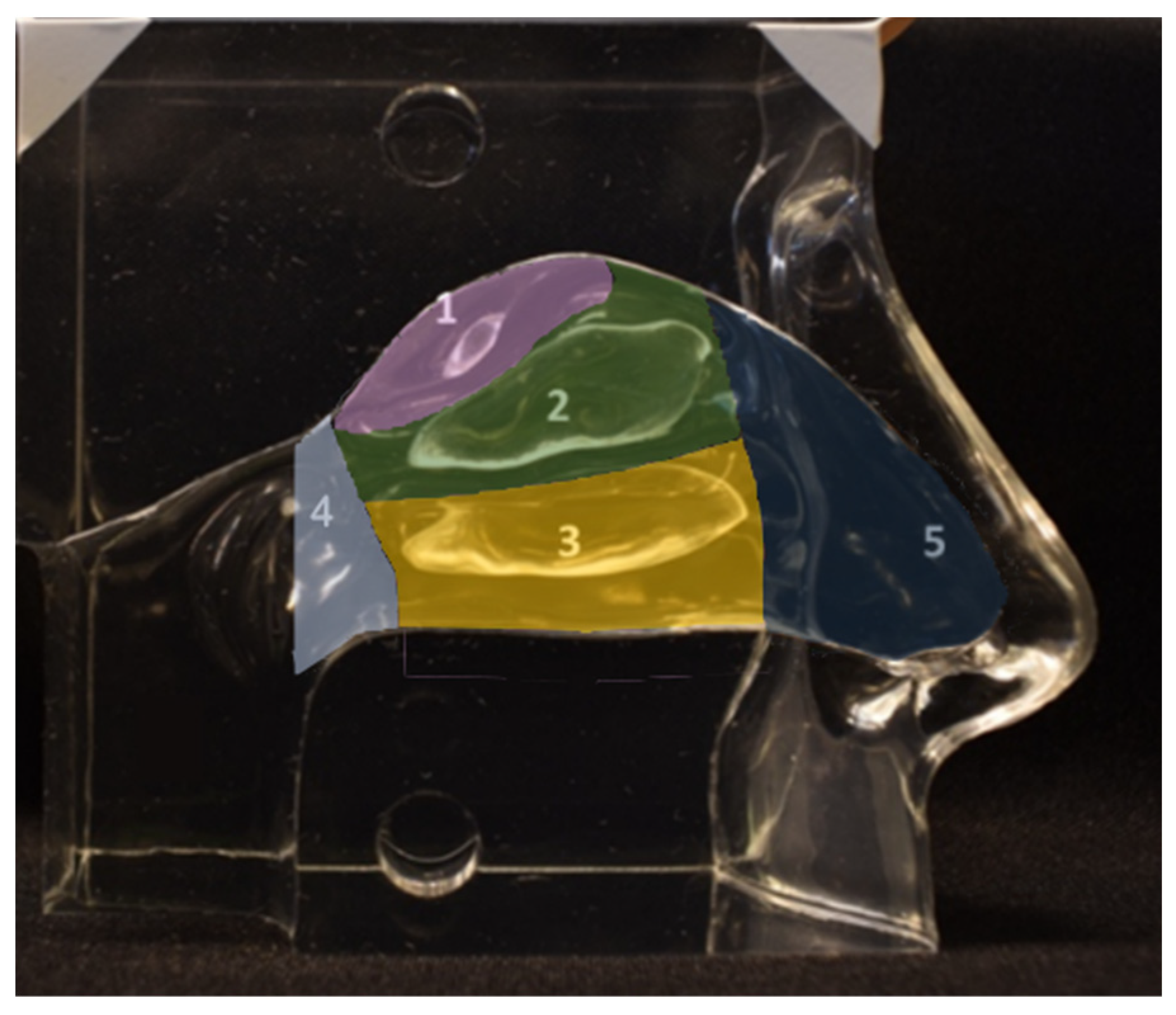 Pharmaceutics 16 00002 g001