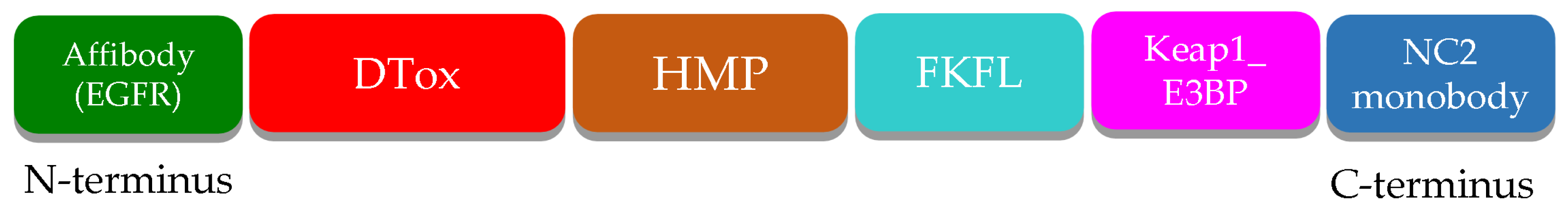 Pharmaceutics 16 00004 g001