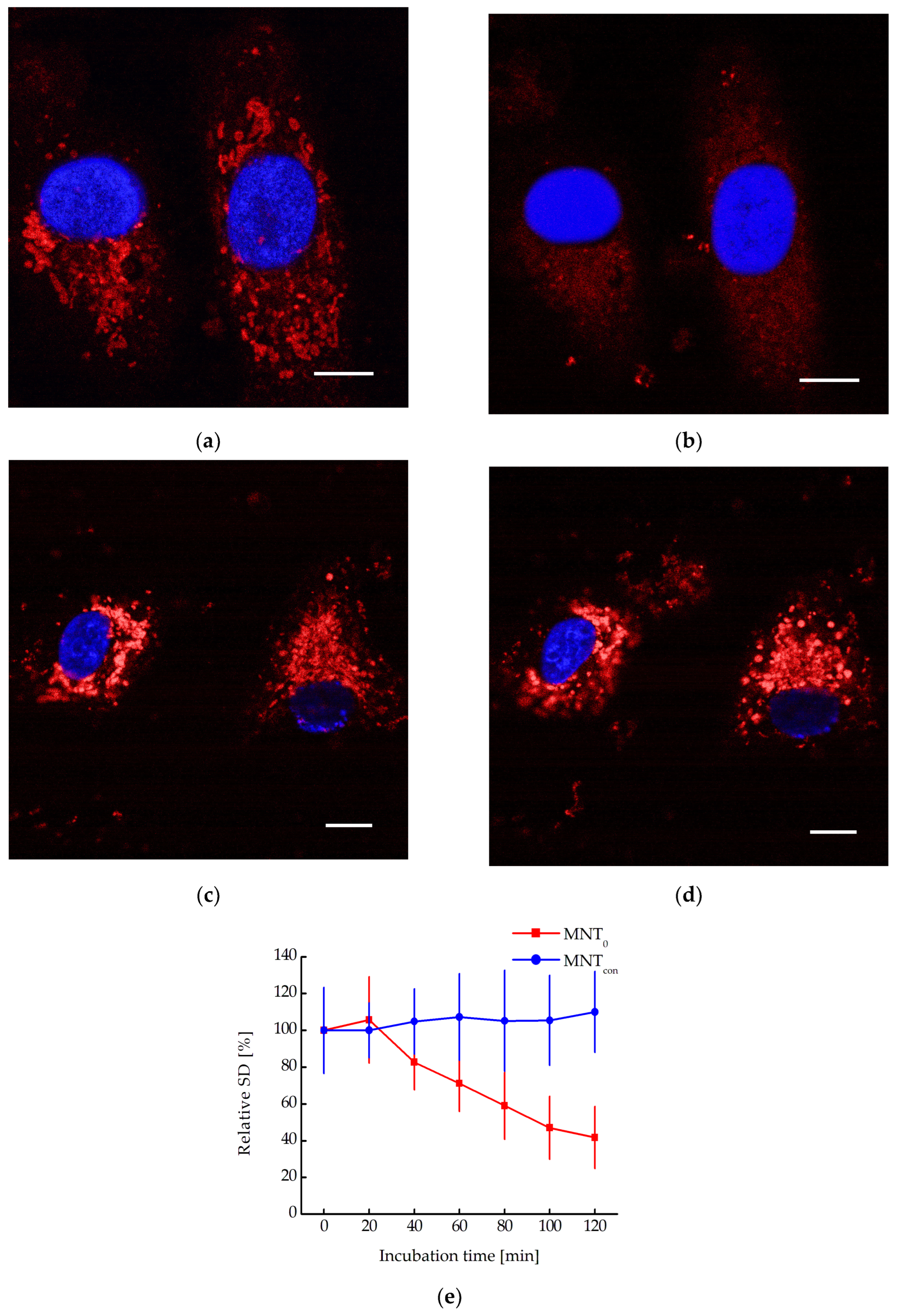 Pharmaceutics 16 00004 g006