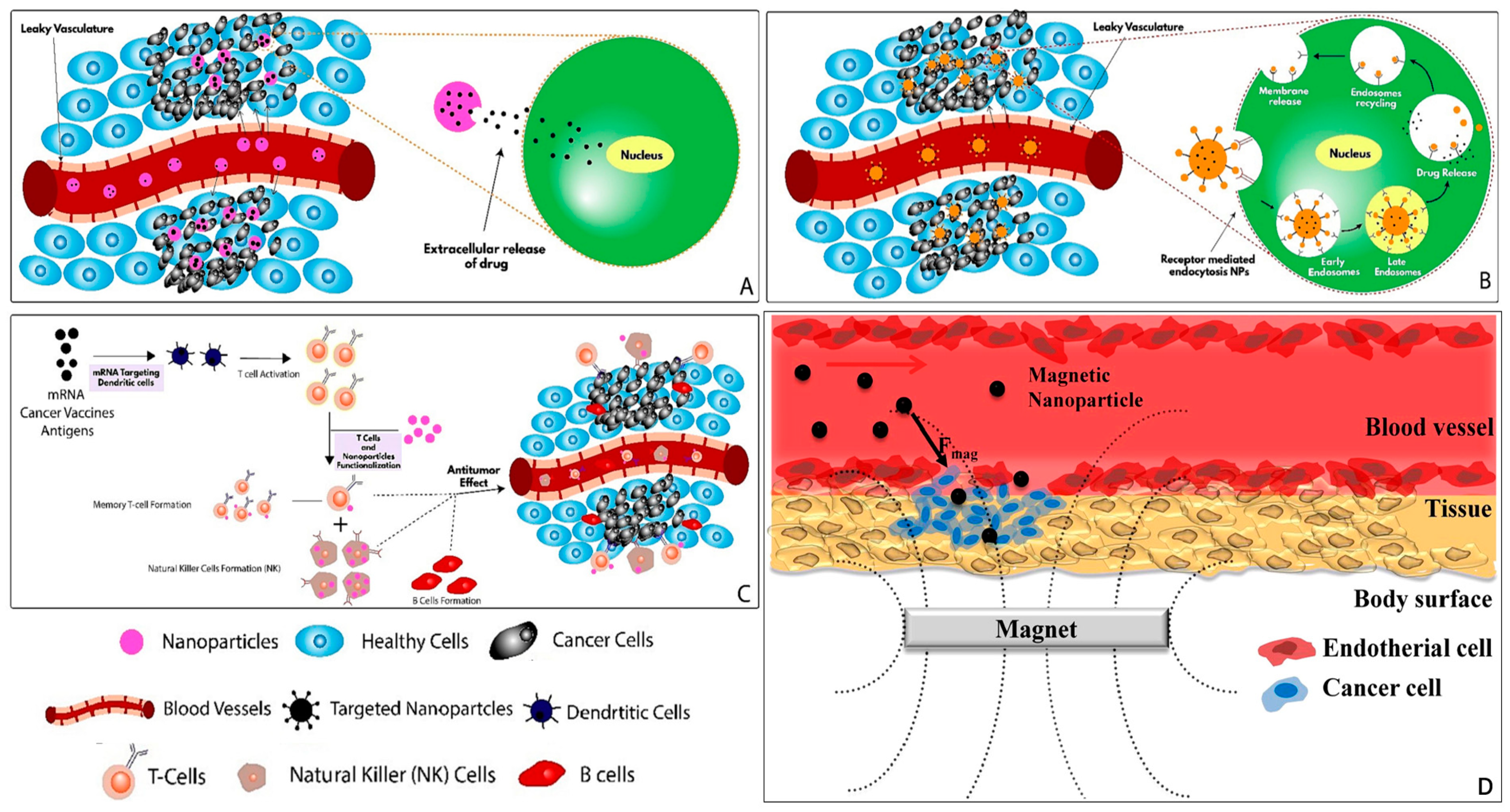 Pharmaceutics 16 00007 g001