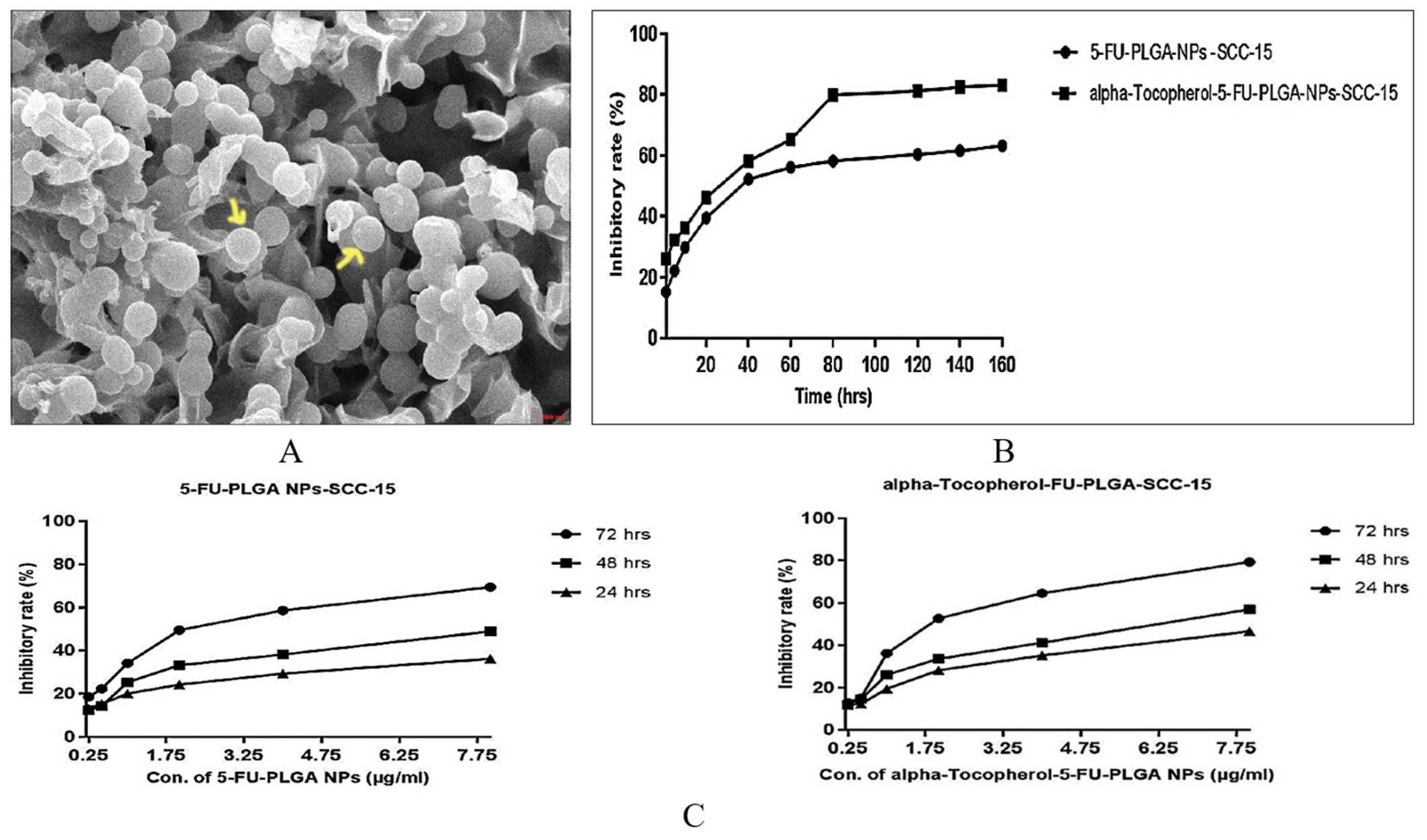 Pharmaceutics 16 00007 g002