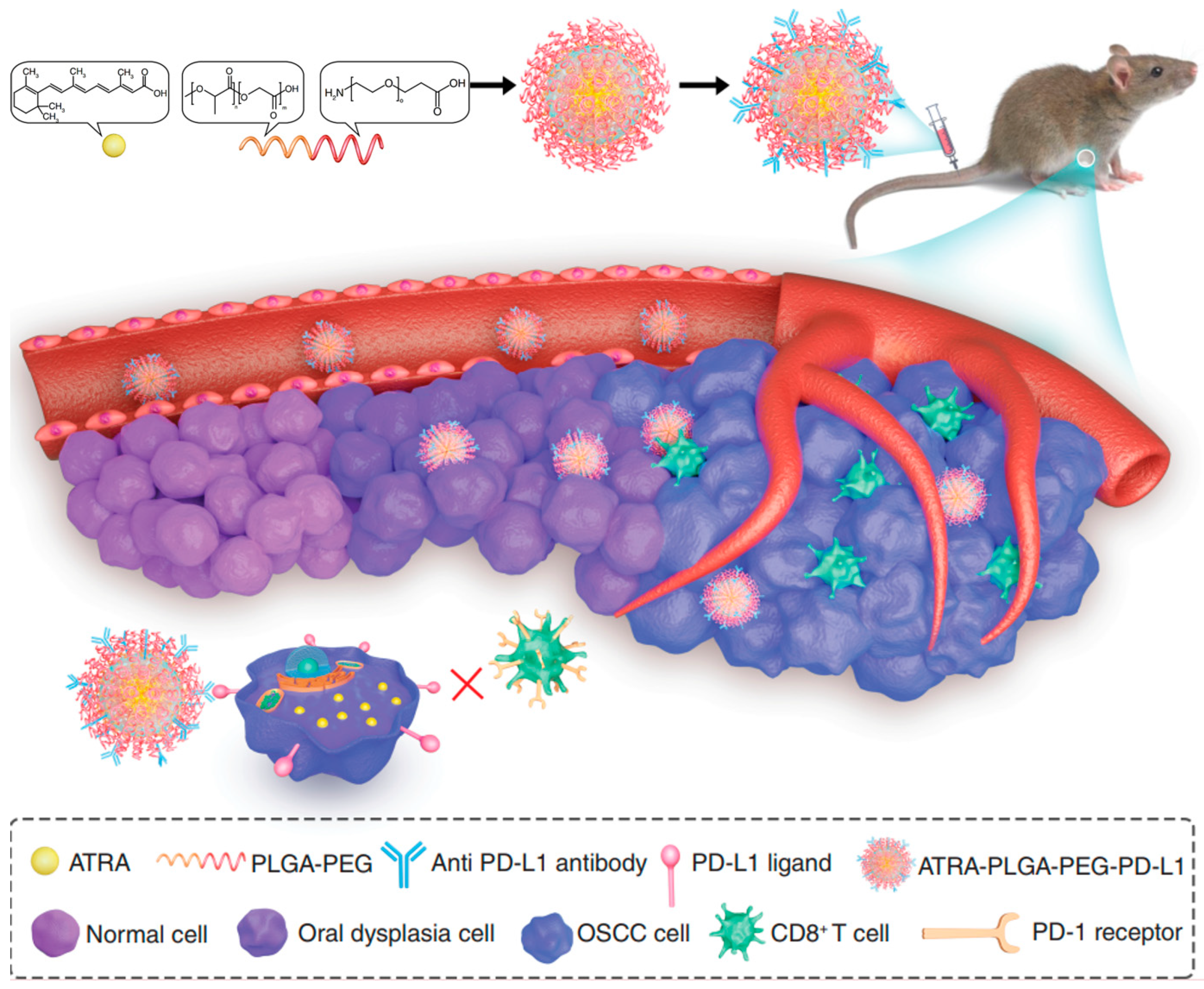 Pharmaceutics 16 00007 g003