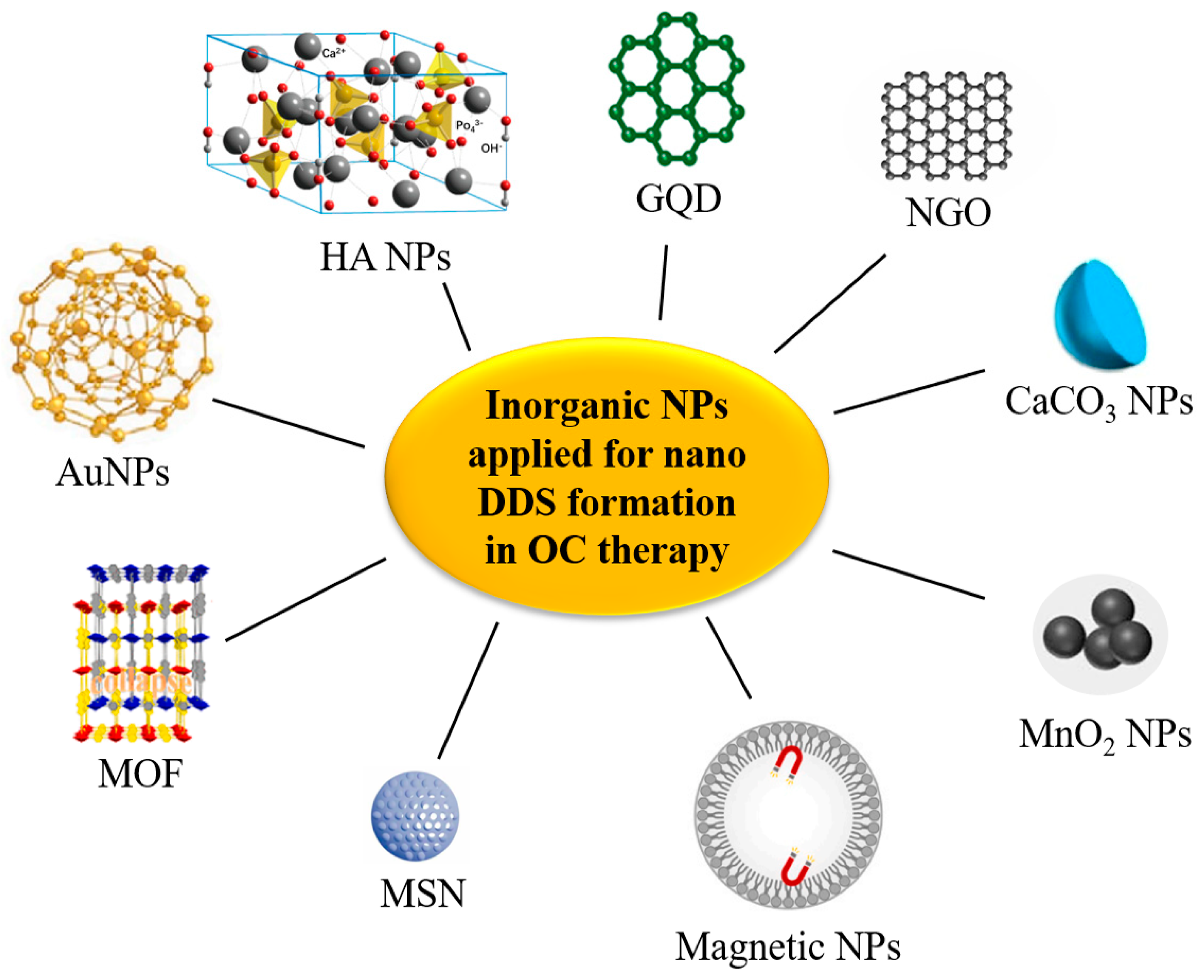 Pharmaceutics 16 00007 g005