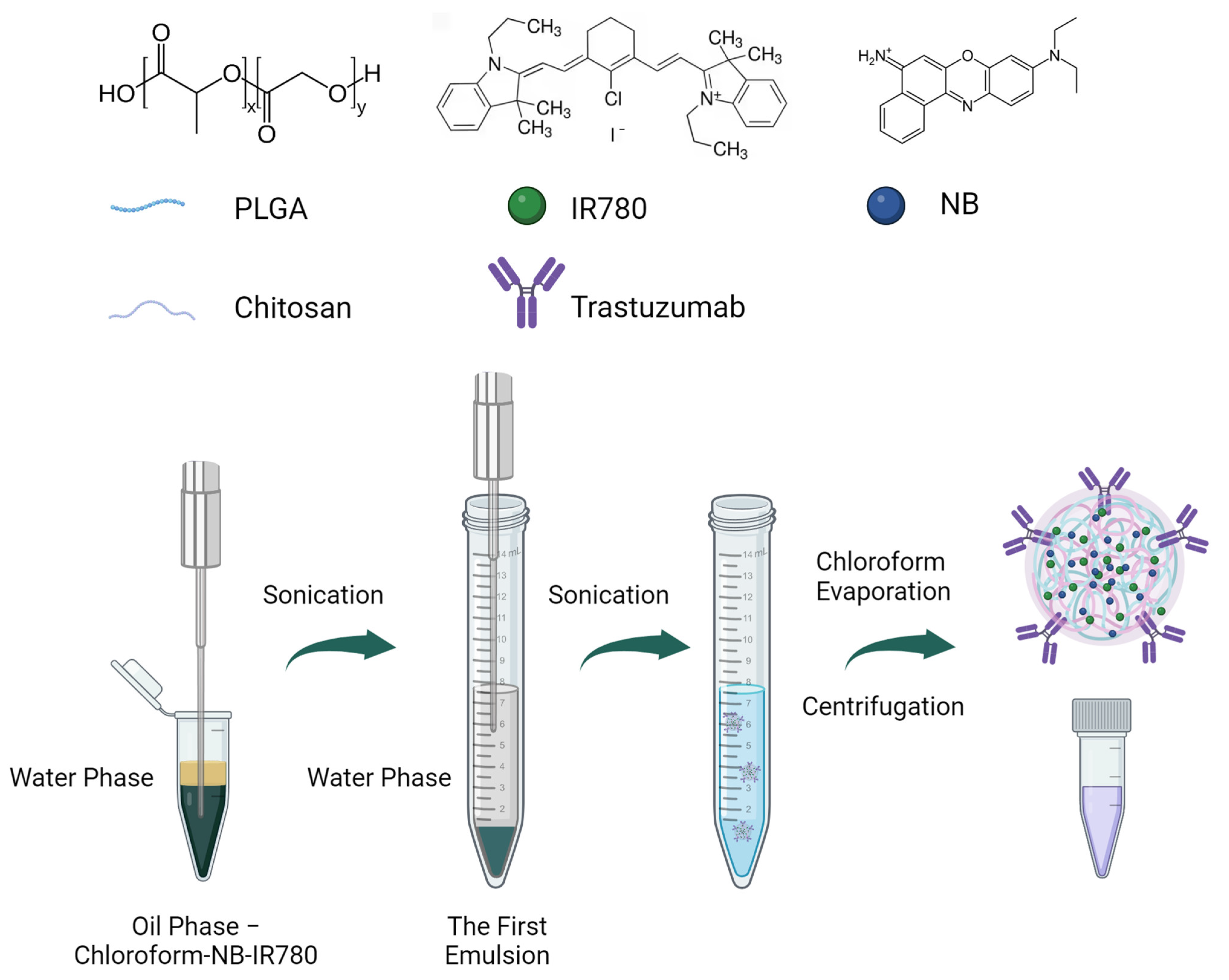 Pharmaceutics 16 00009 g001