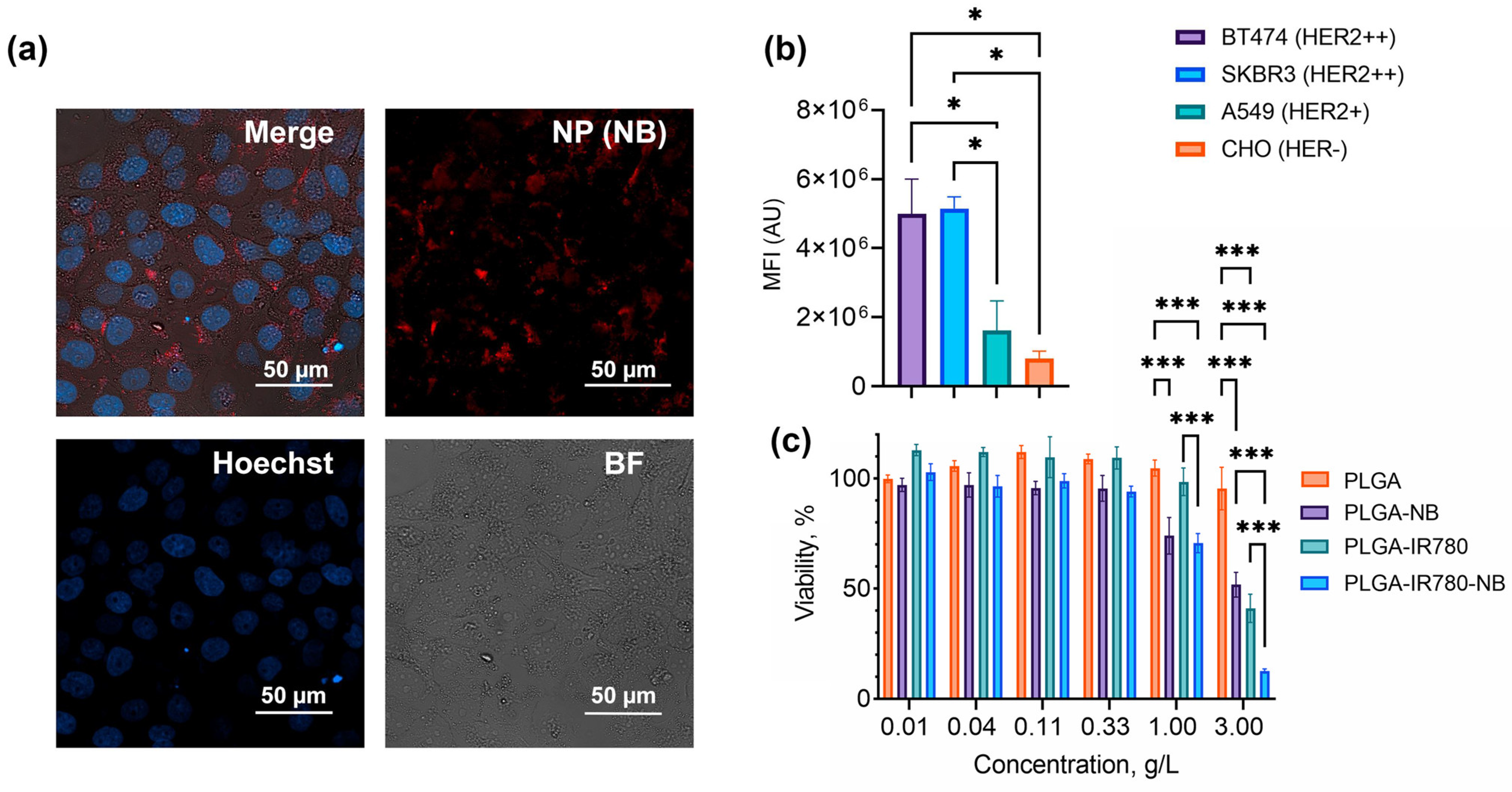 Pharmaceutics 16 00009 g005