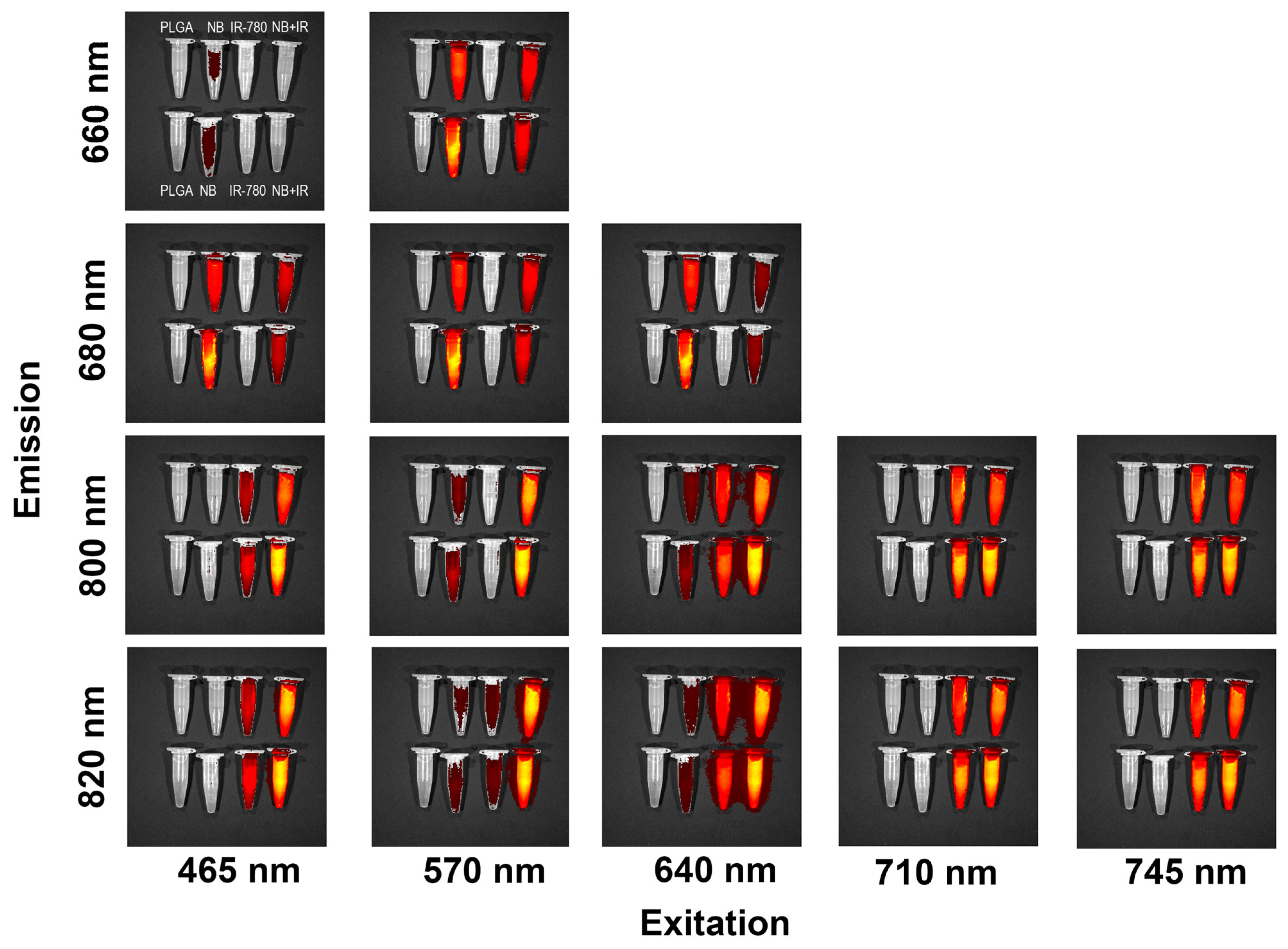 Pharmaceutics 16 00009 g007
