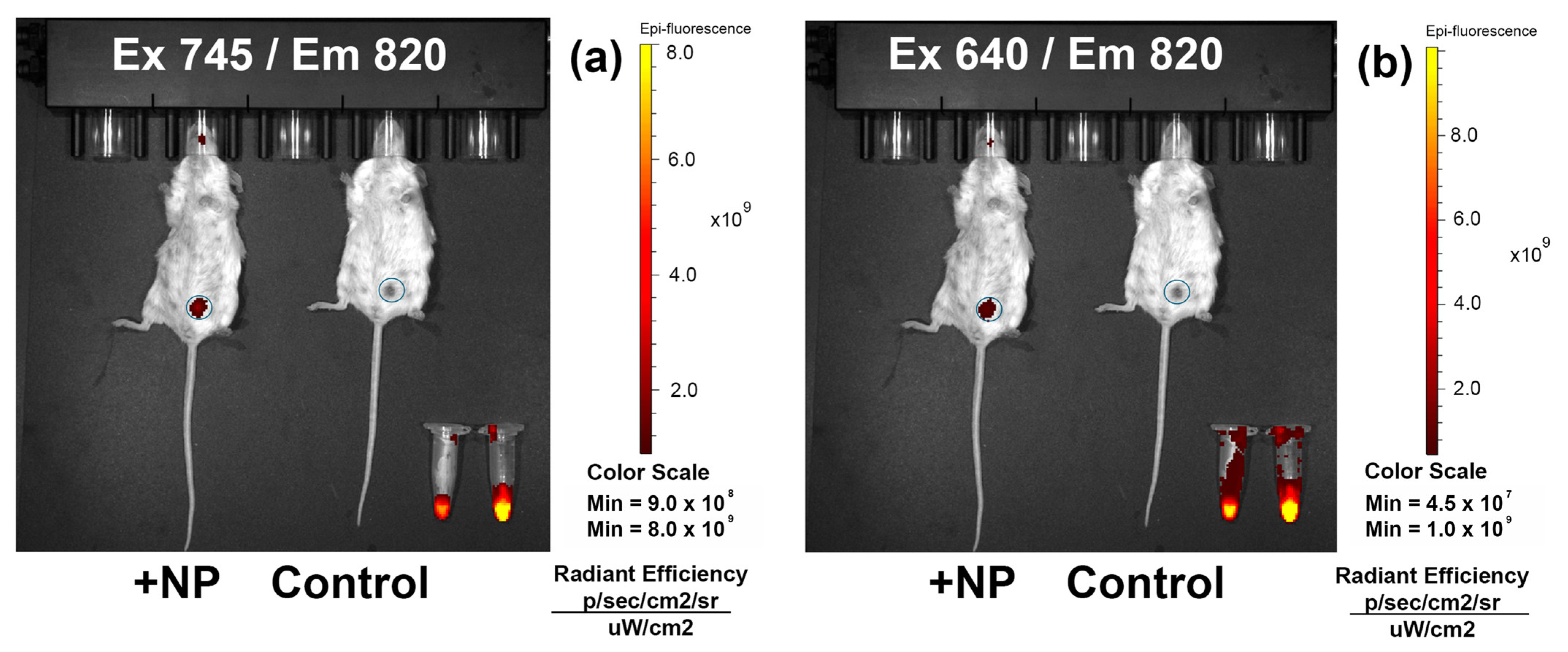 Pharmaceutics 16 00009 g008