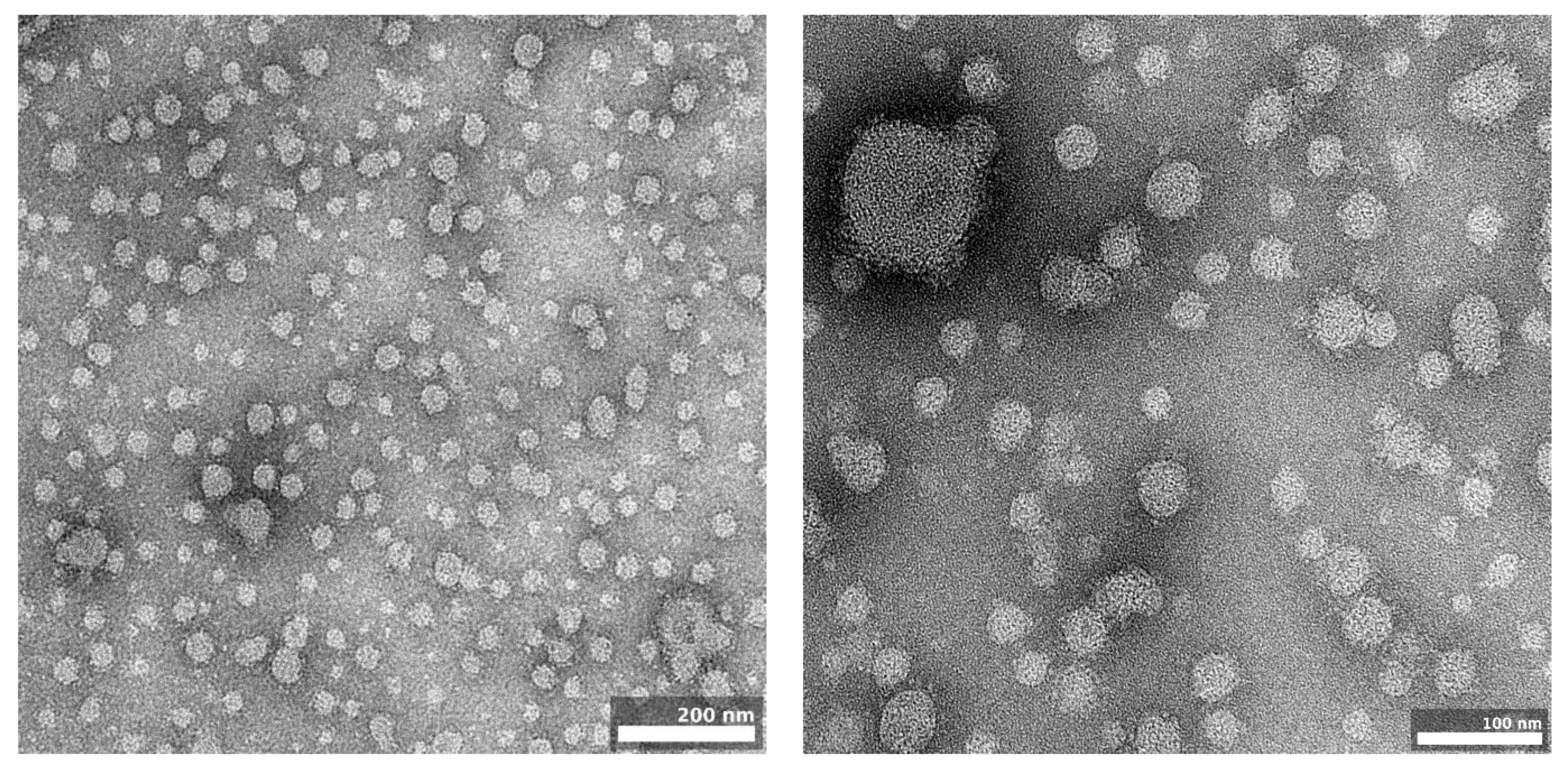 Pharmaceutics 16 00011 g009 Pharmaceutics 16 00011 g009