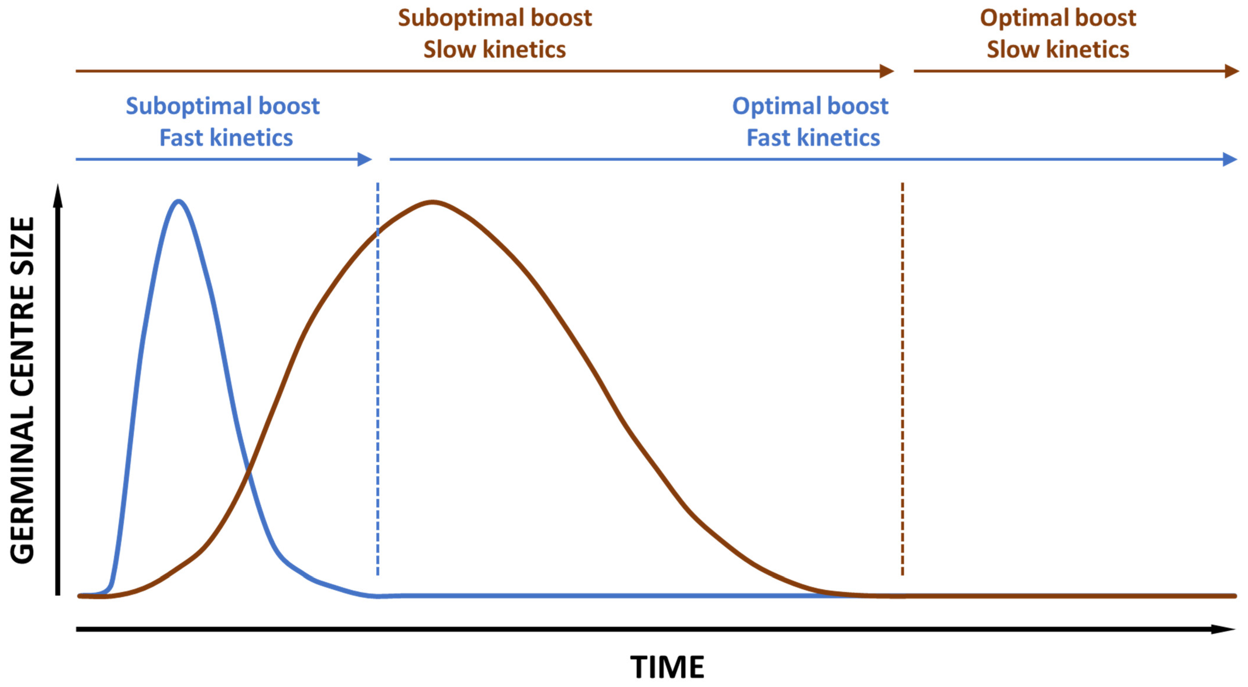 Pharmaceutics 16 00012 g002 Pharmaceutics 16 00012 g002