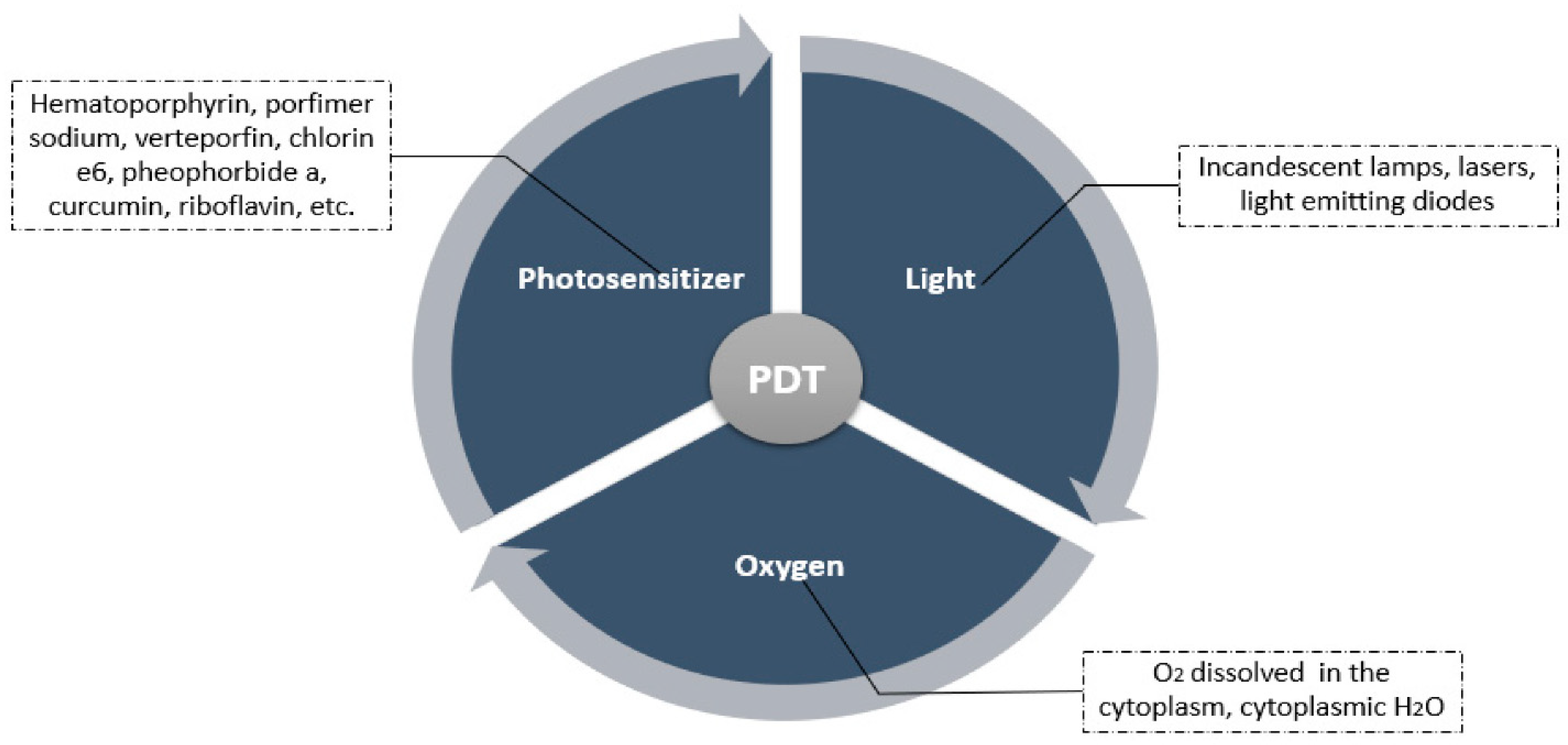 Pharmaceutics 16 00014 g002