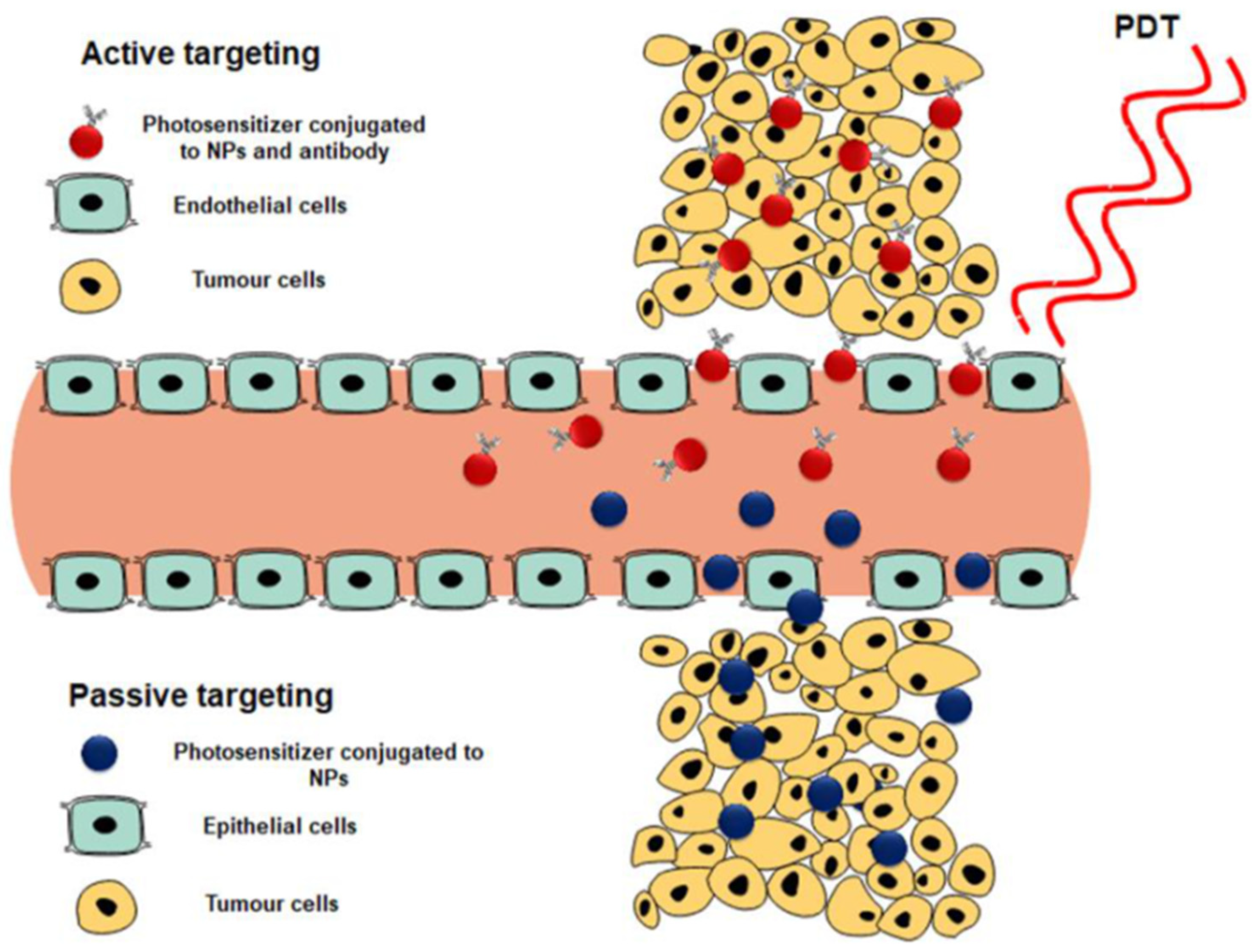 Pharmaceutics 16 00014 g006