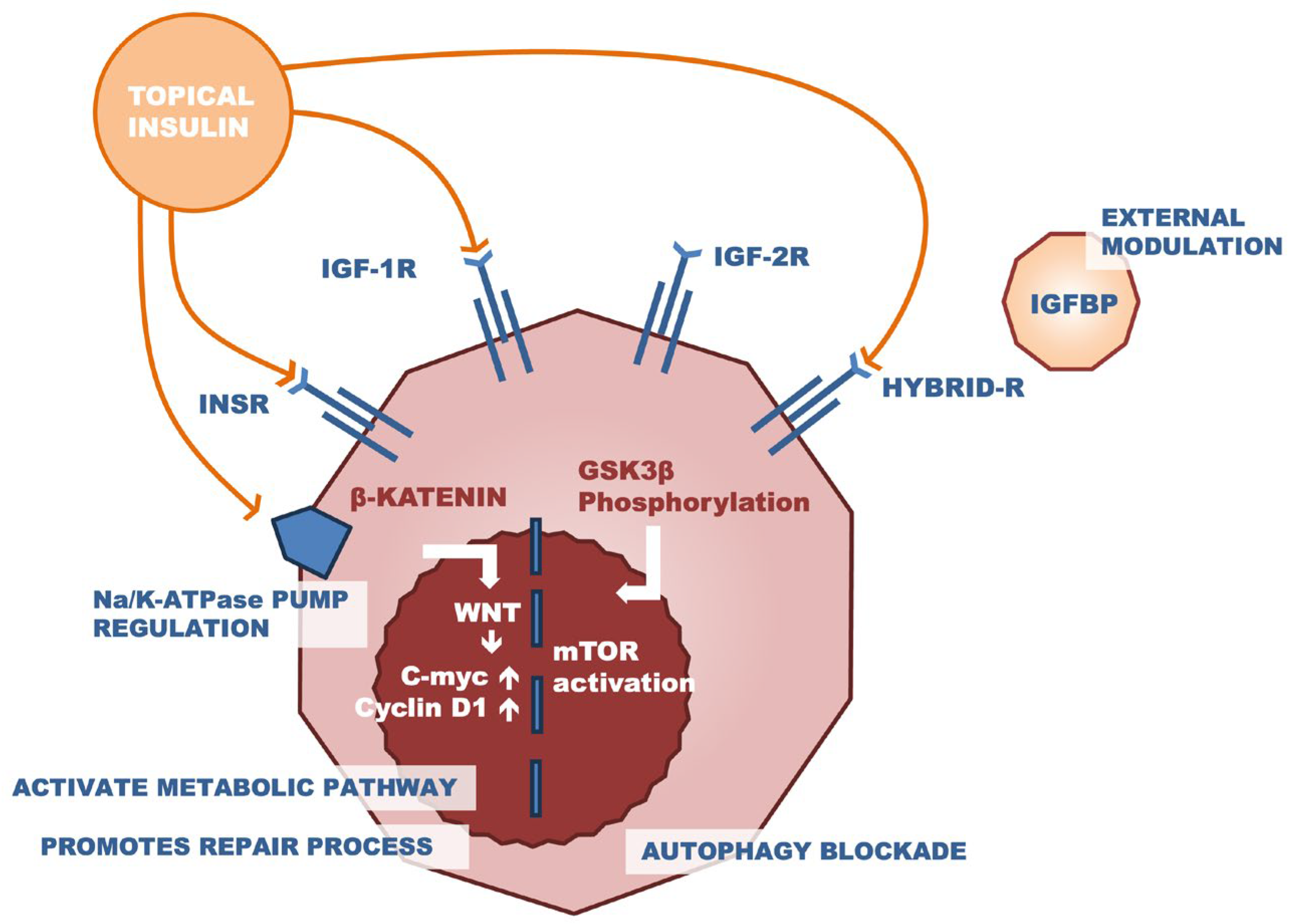 Pharmaceutics 16 00015 g002