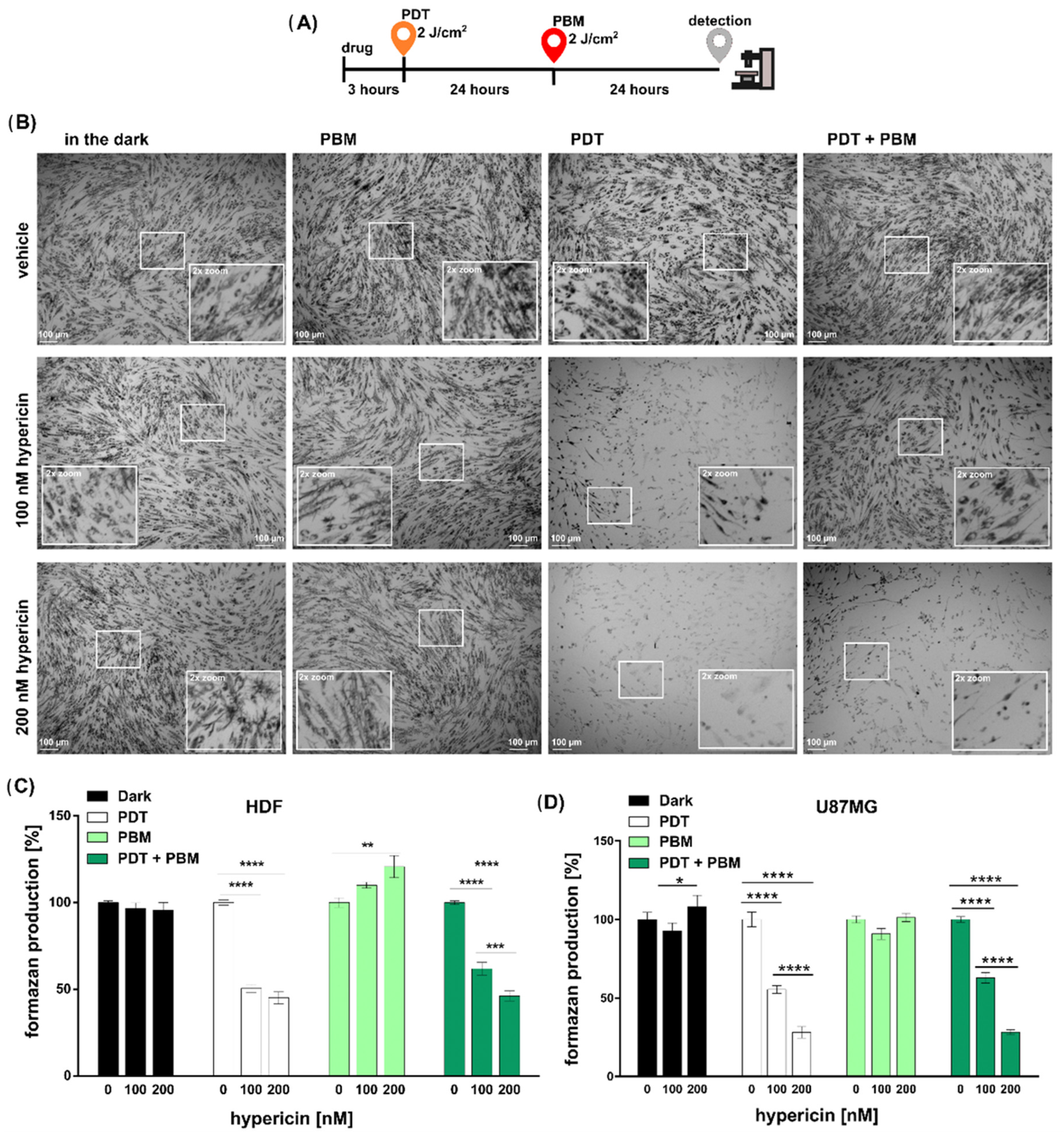 Pharmaceutics 16 00020 g001