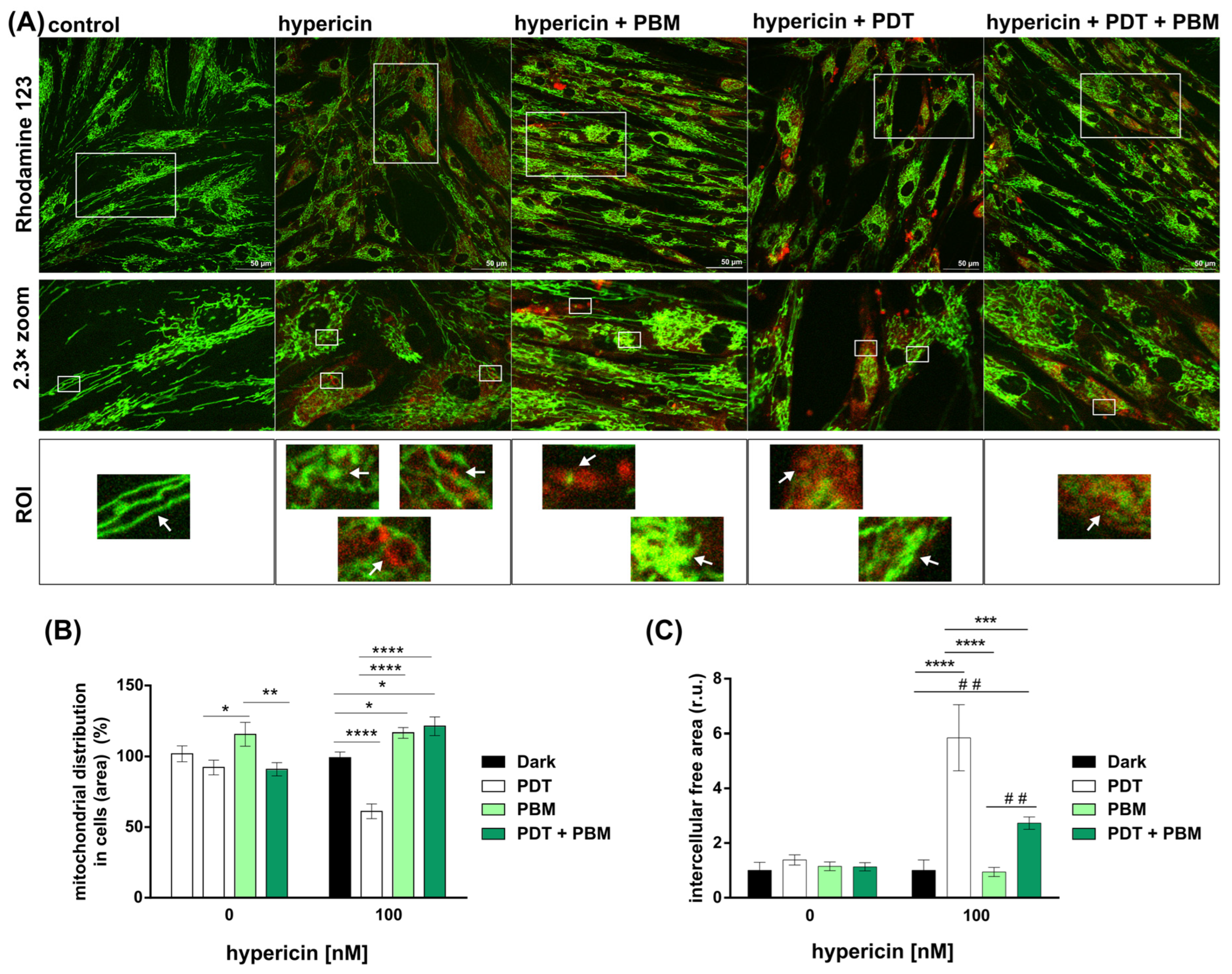 Pharmaceutics 16 00020 g002