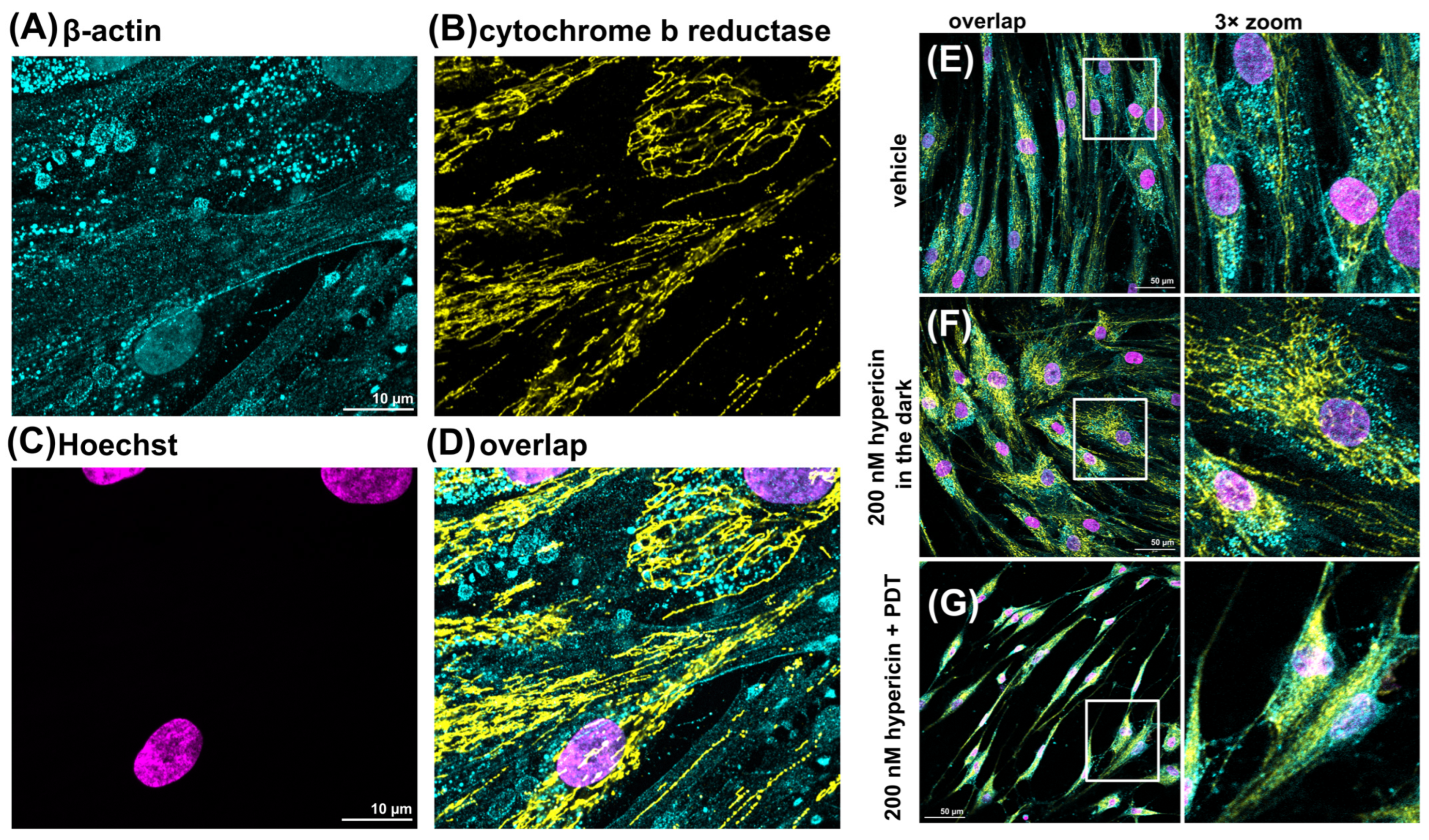 Pharmaceutics 16 00020 g003