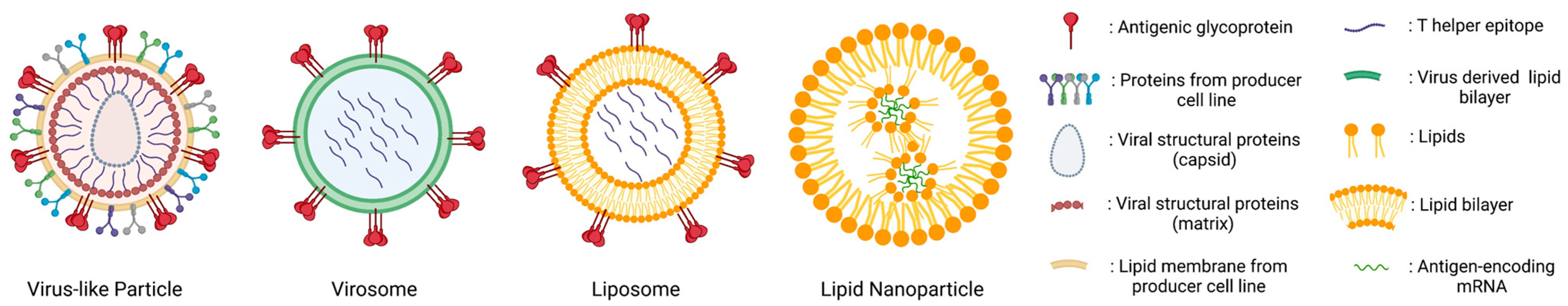 Pharmaceutics 16 00024 g001