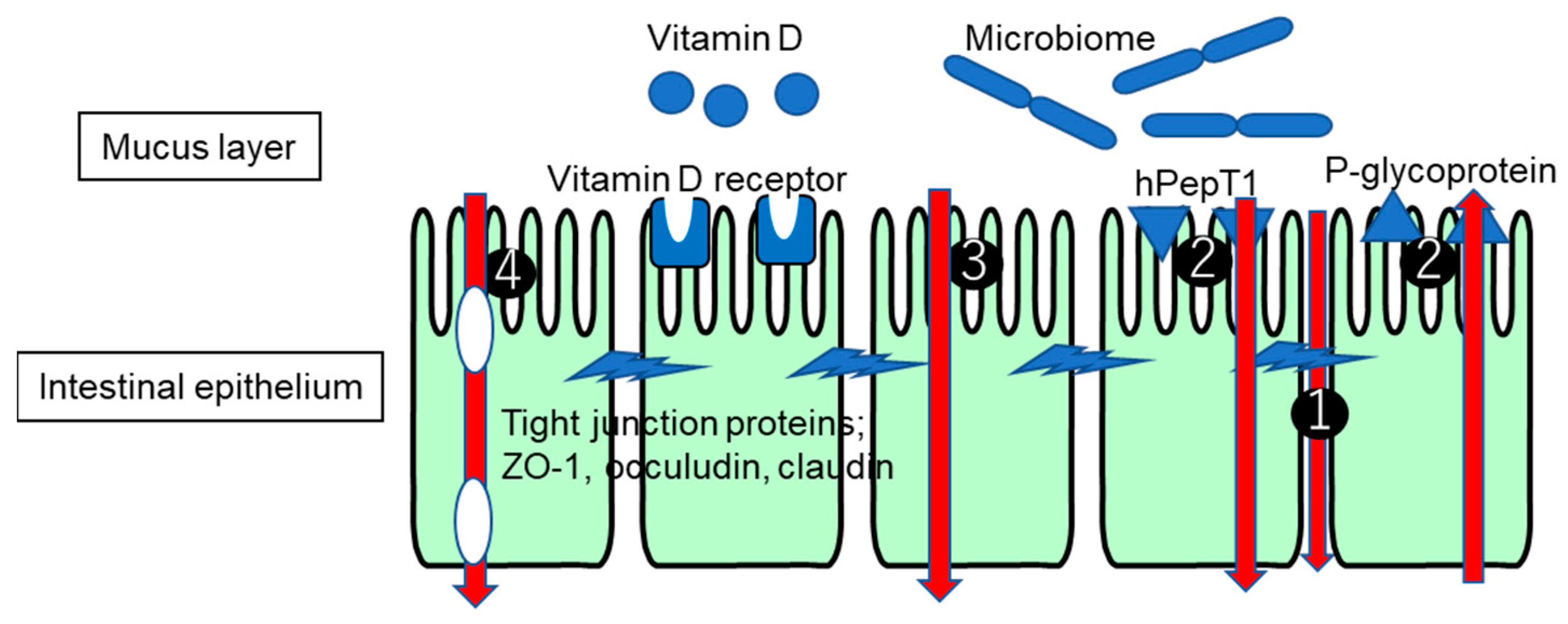 Pharmaceutics 16 00029 g001 Pharmaceutics 16 00029 g001