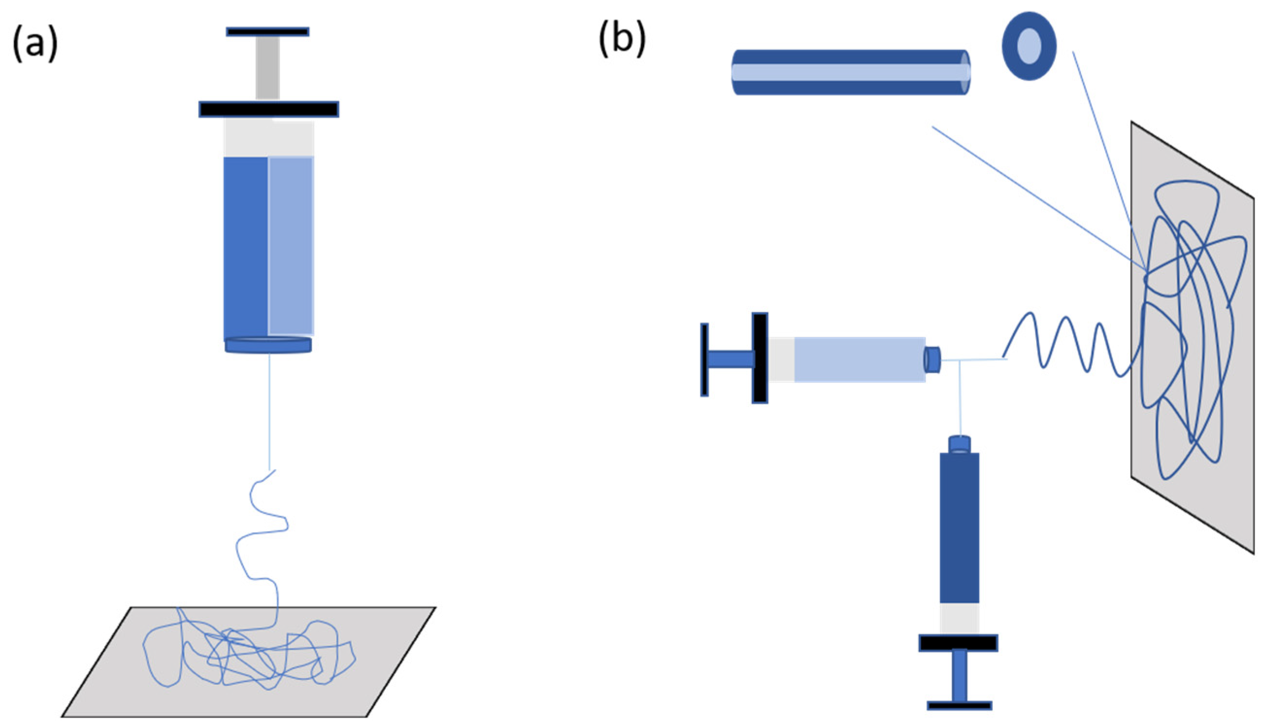 Overview of Tissue Engineering and Drug Delivery
