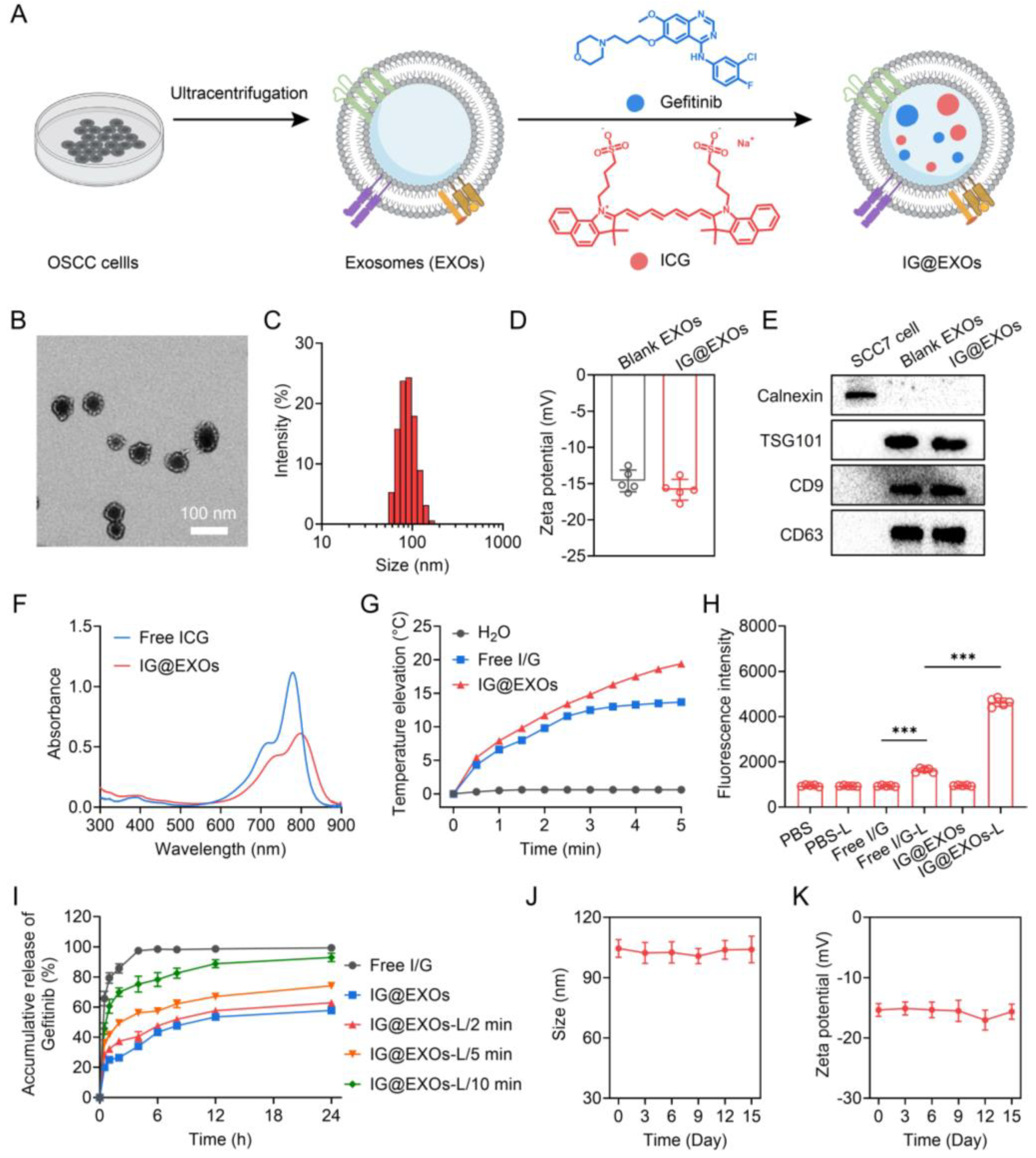 Pharmaceutics 16 00033 g001